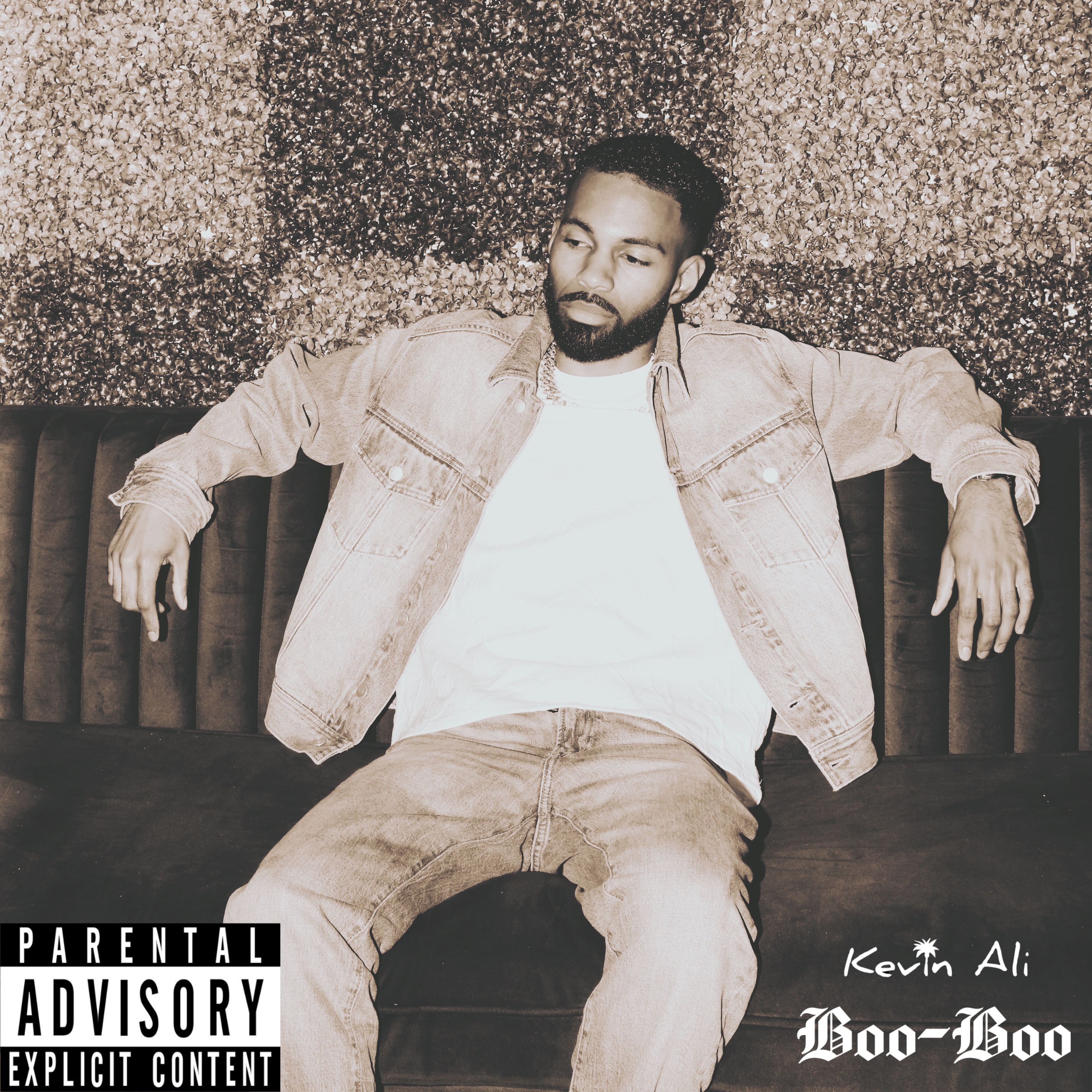 BOO-BOO artwork