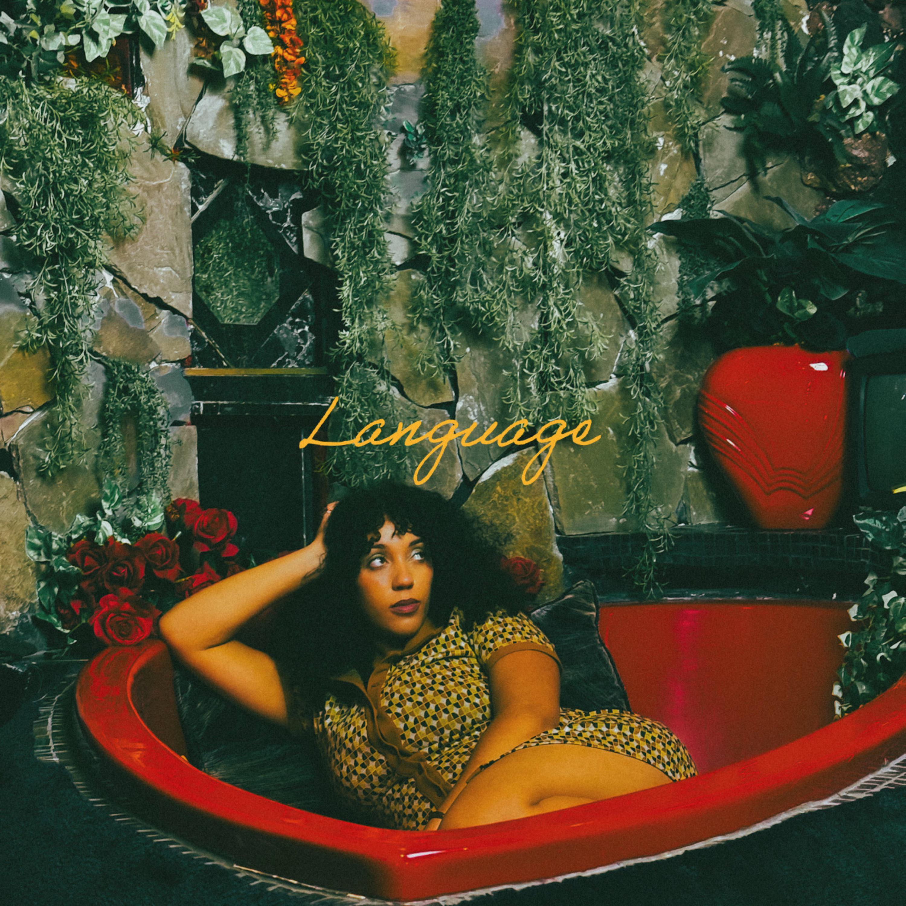 Language by Overnight Celebrity cover art
