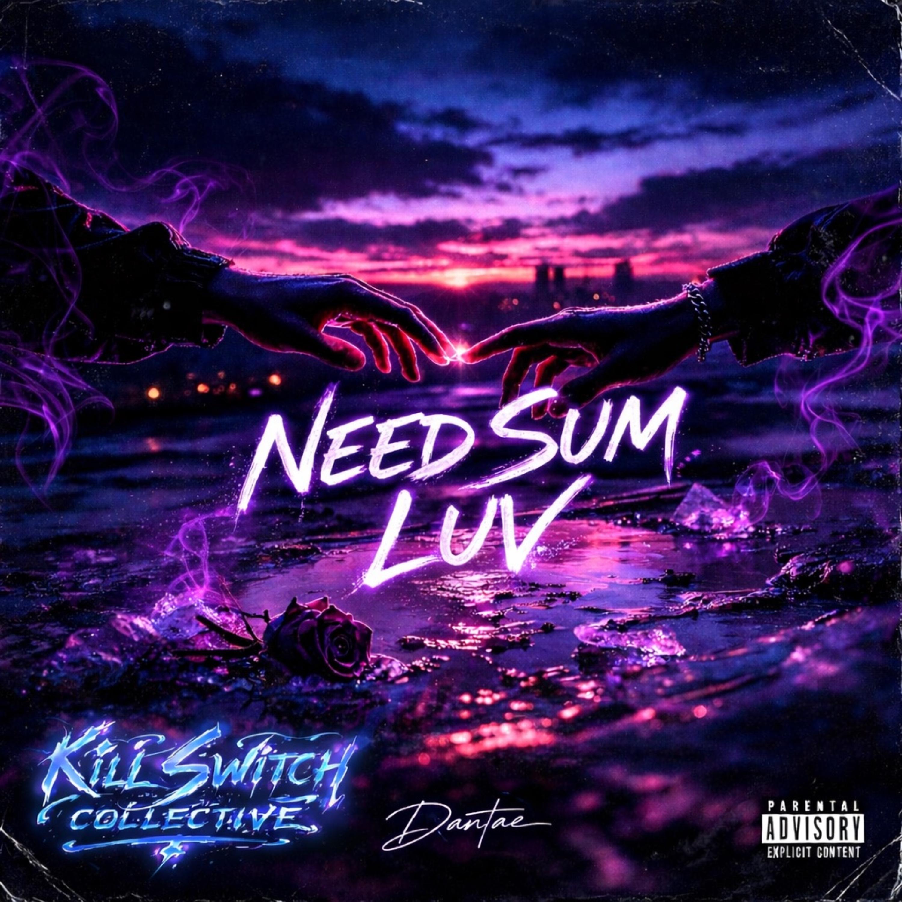 Need Sum Luv artwork