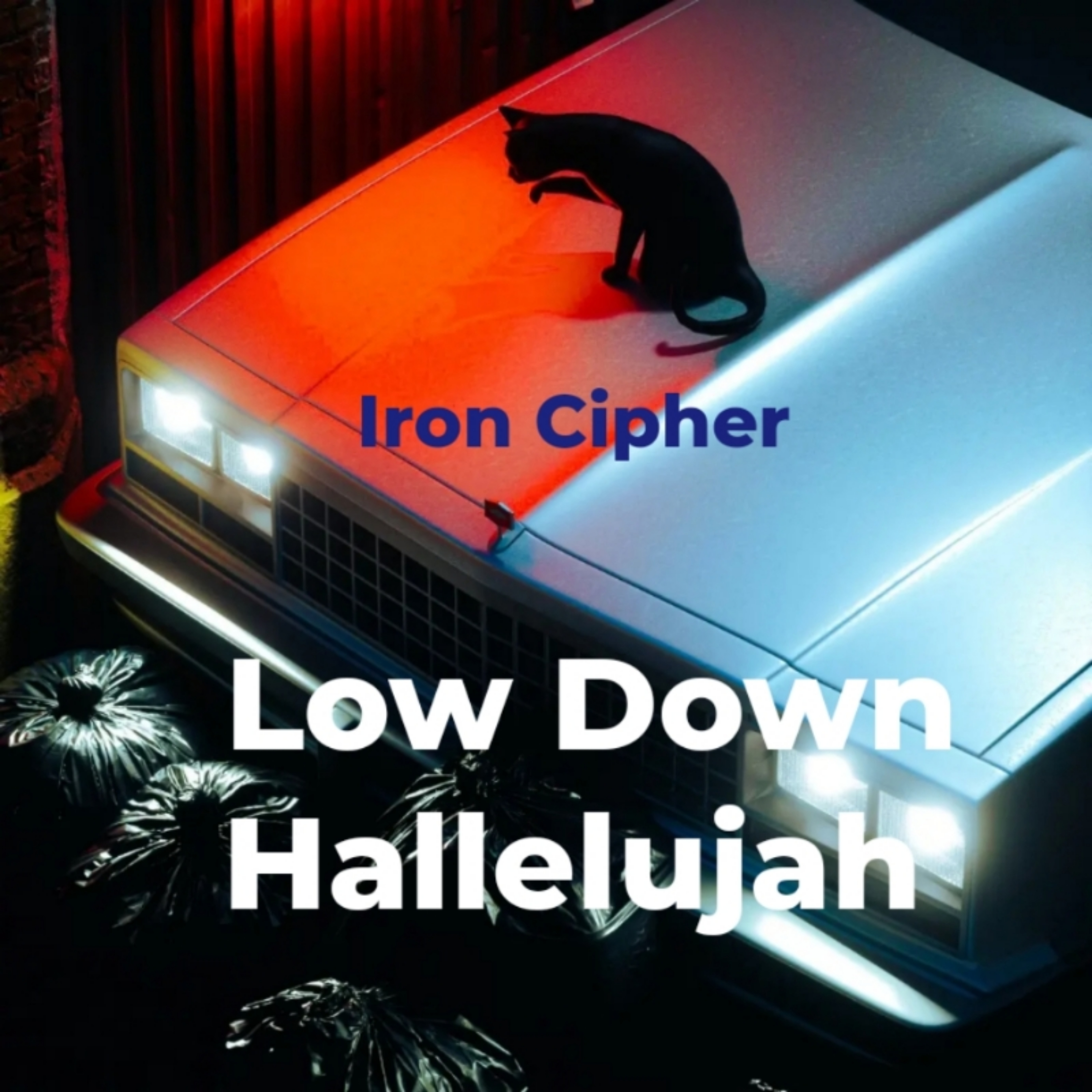 Low Down Hallelujah artwork