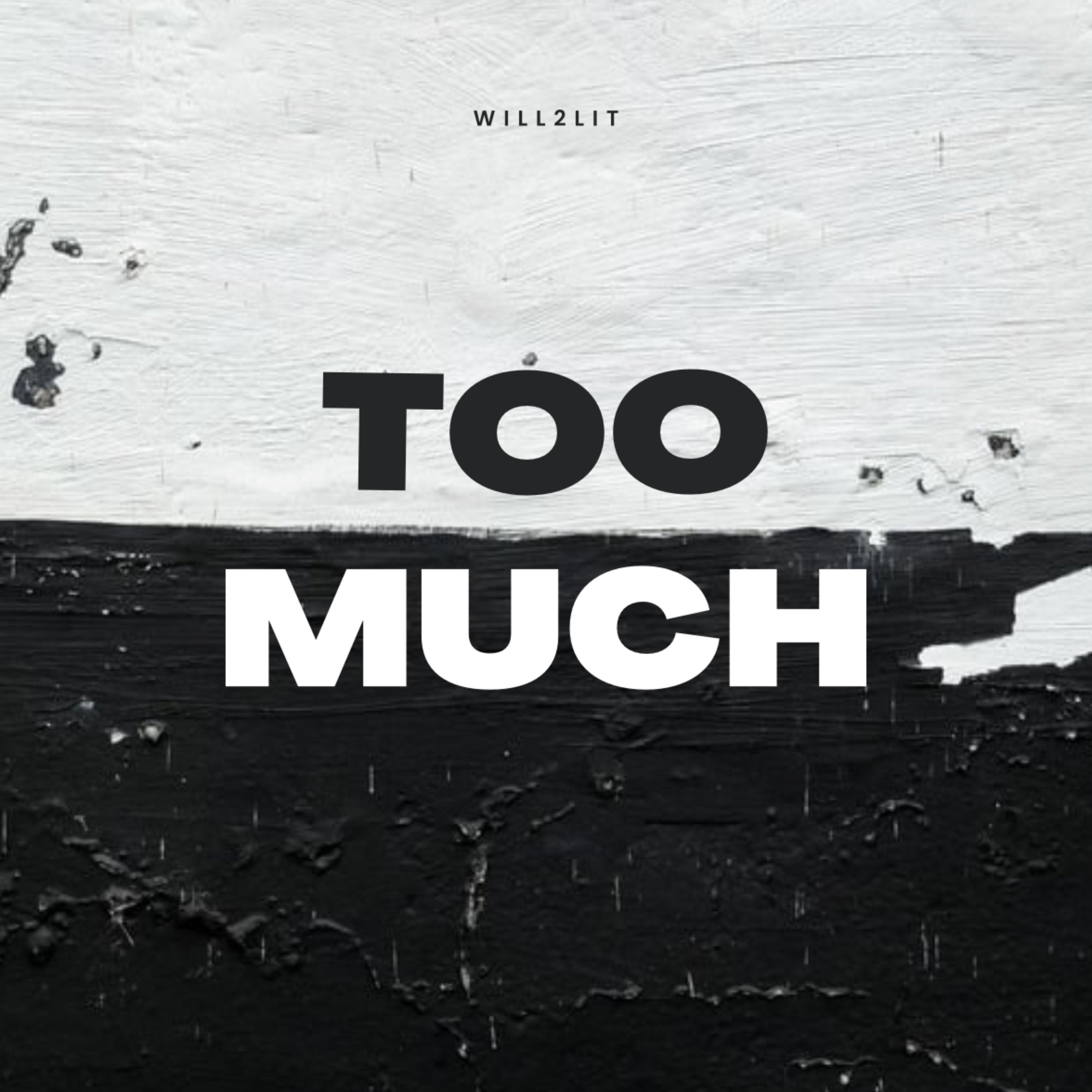 Too Much artwork