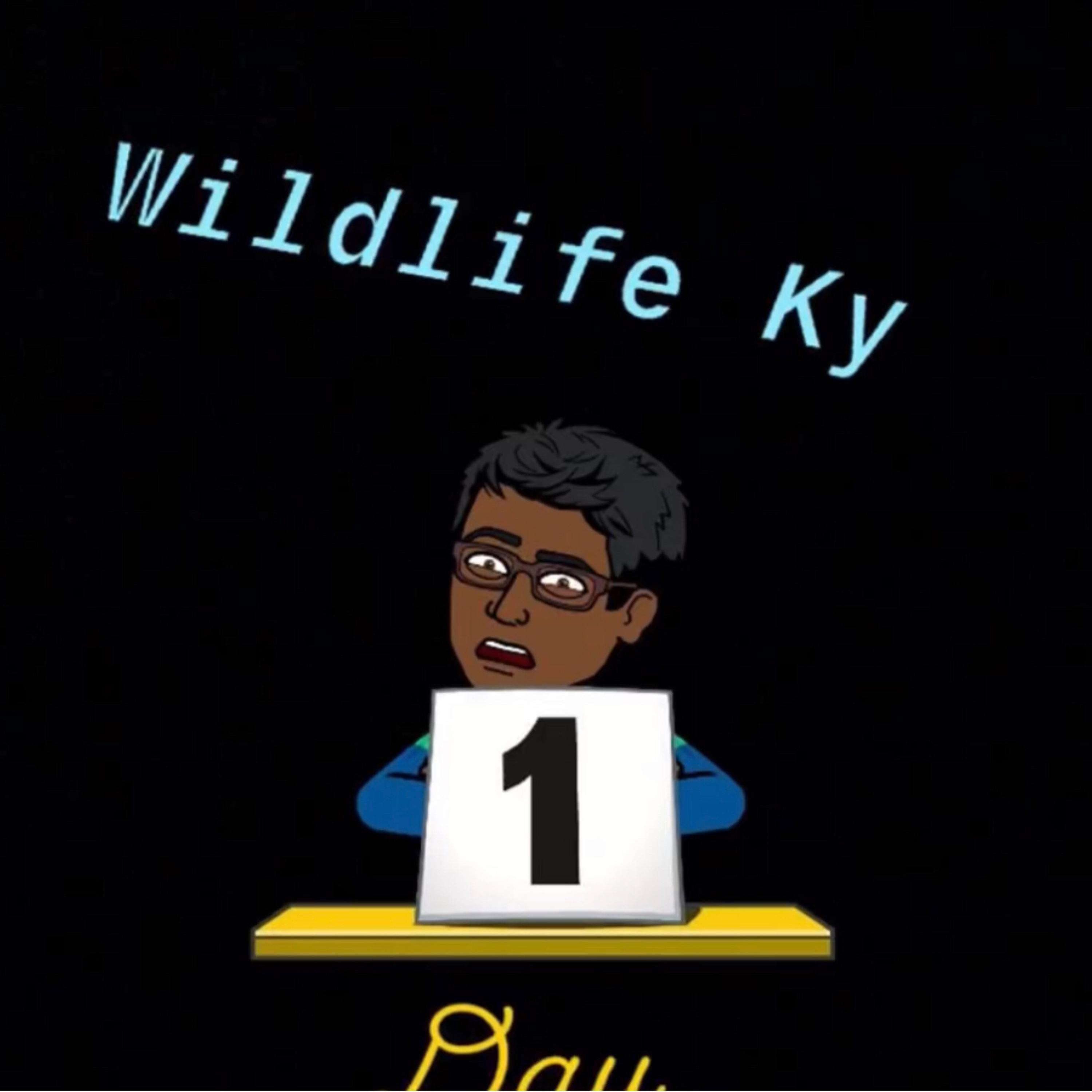 One Day artwork