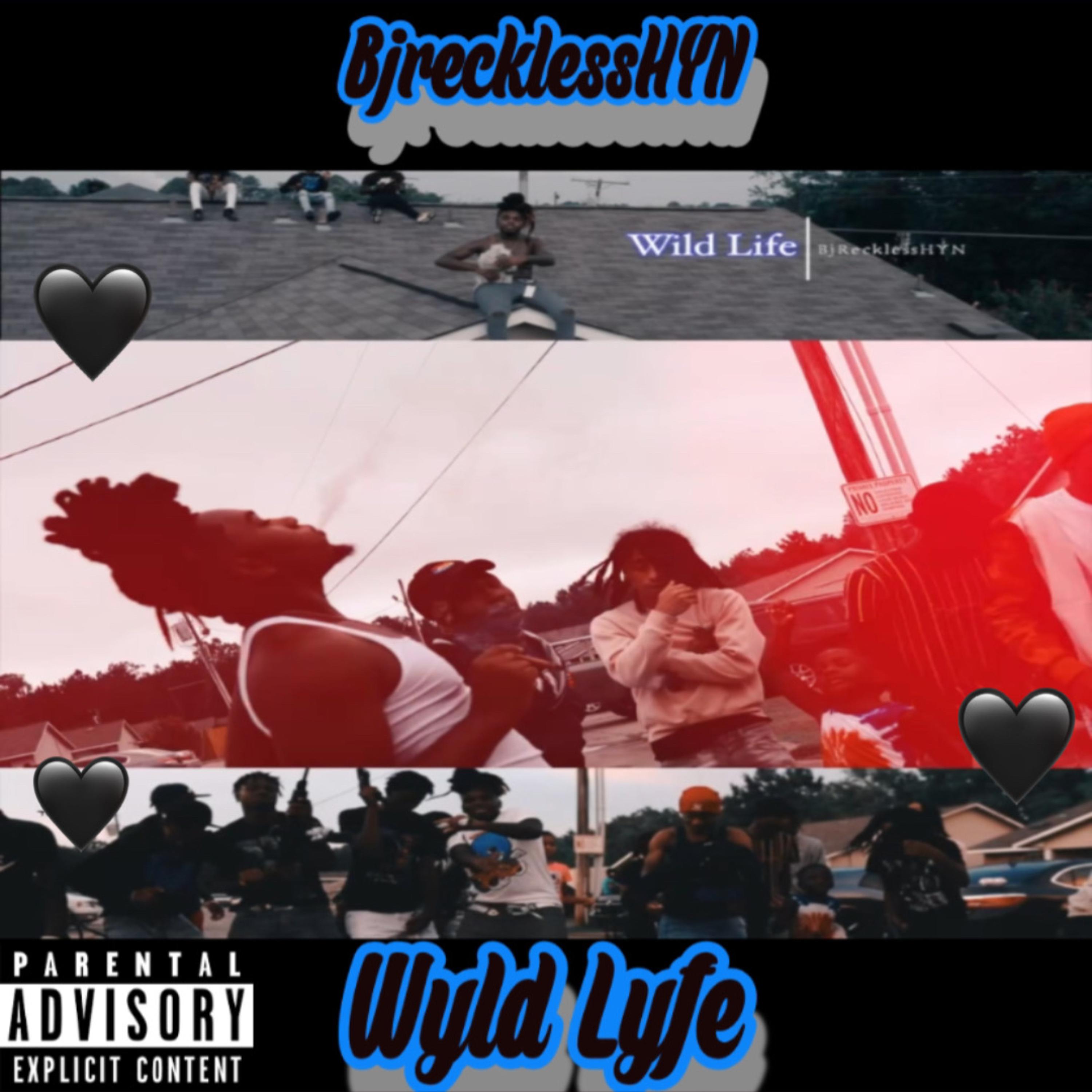 Wyld Lyfe artwork