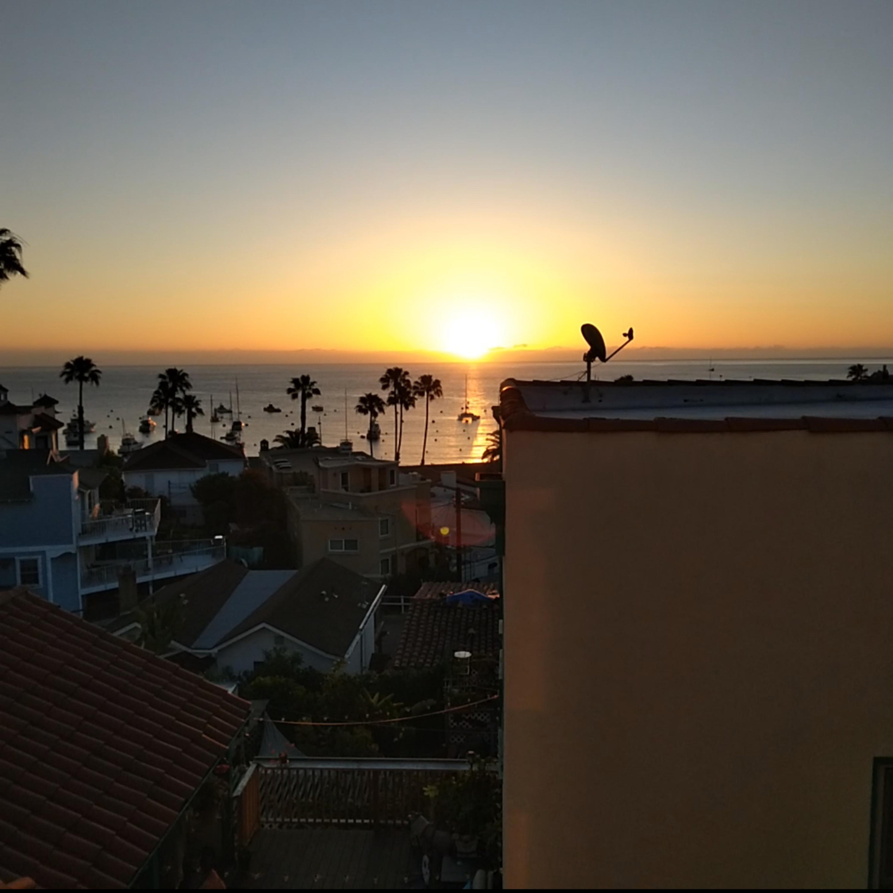 Boxed Wine,Blunts,&Beachfronts artwork