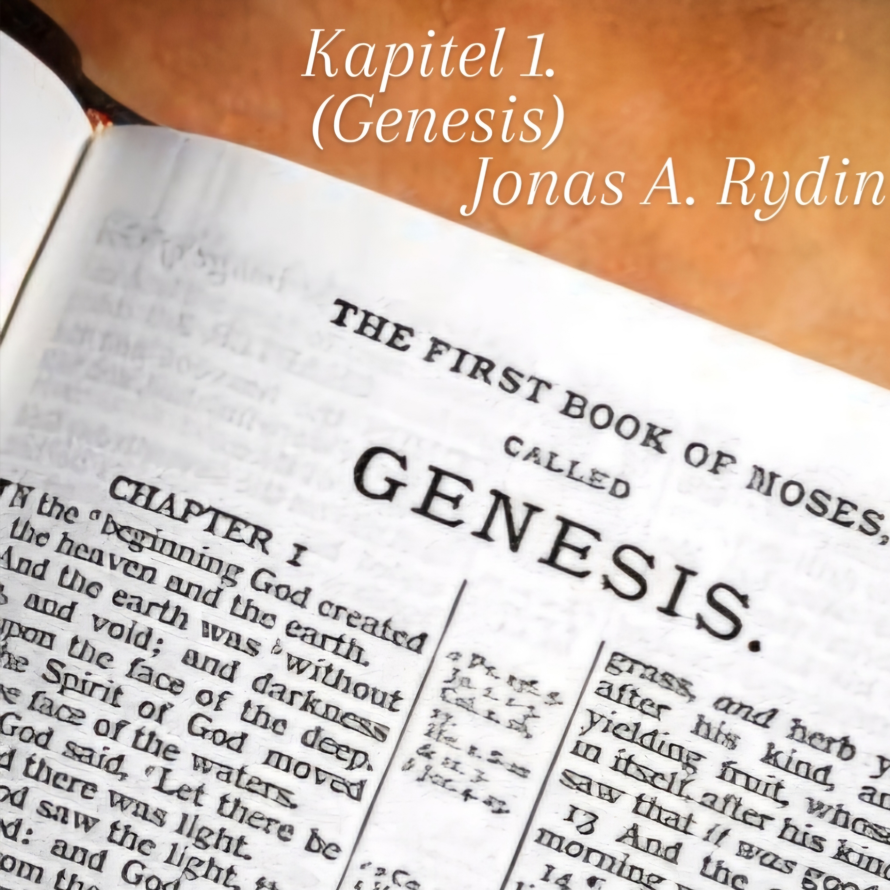 Kapitel 1 (Genesis) by Jonas A. Rydin  cover art