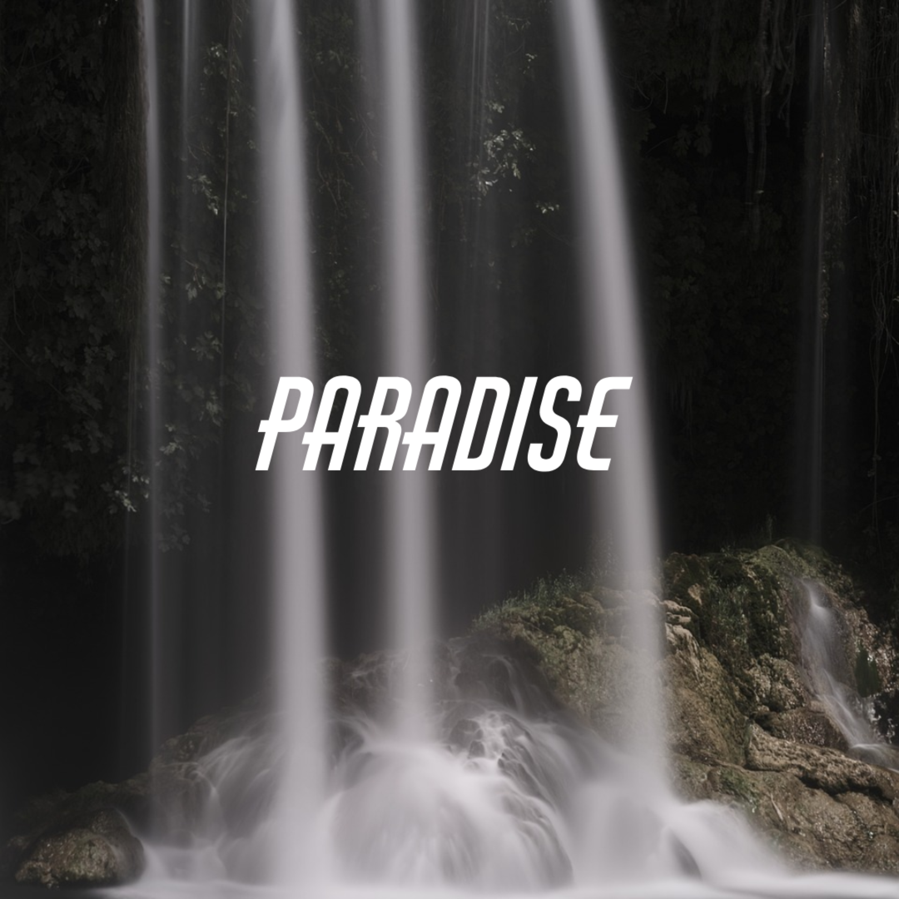 Paradise artwork