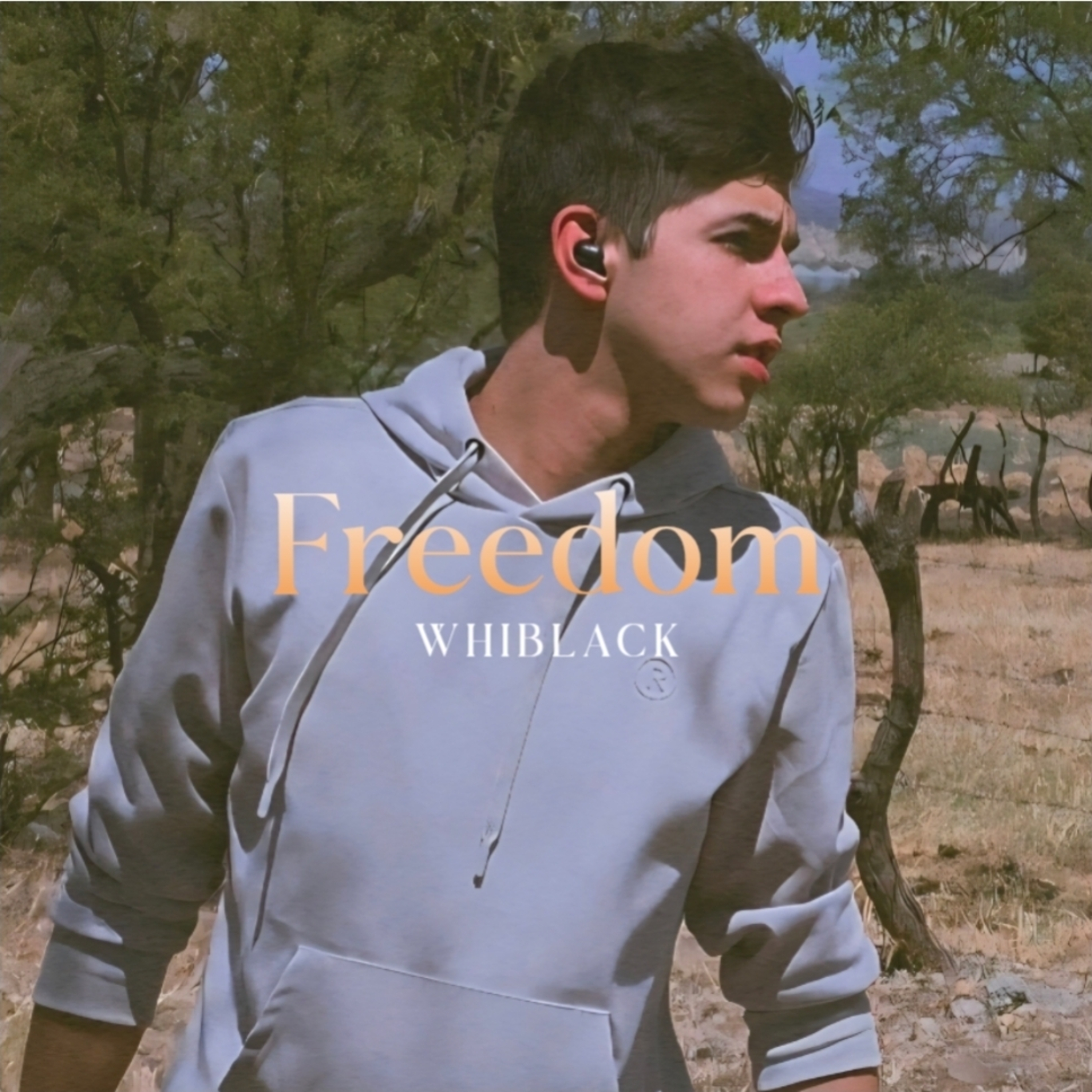 Freedom artwork