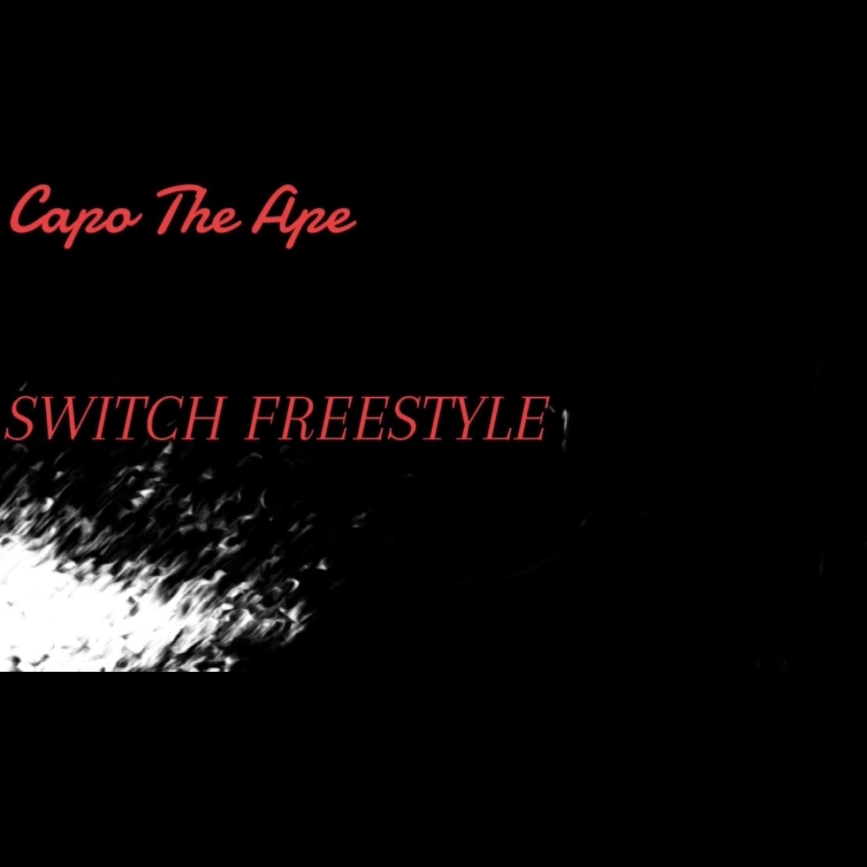 Switches by Capo The Ape cover art