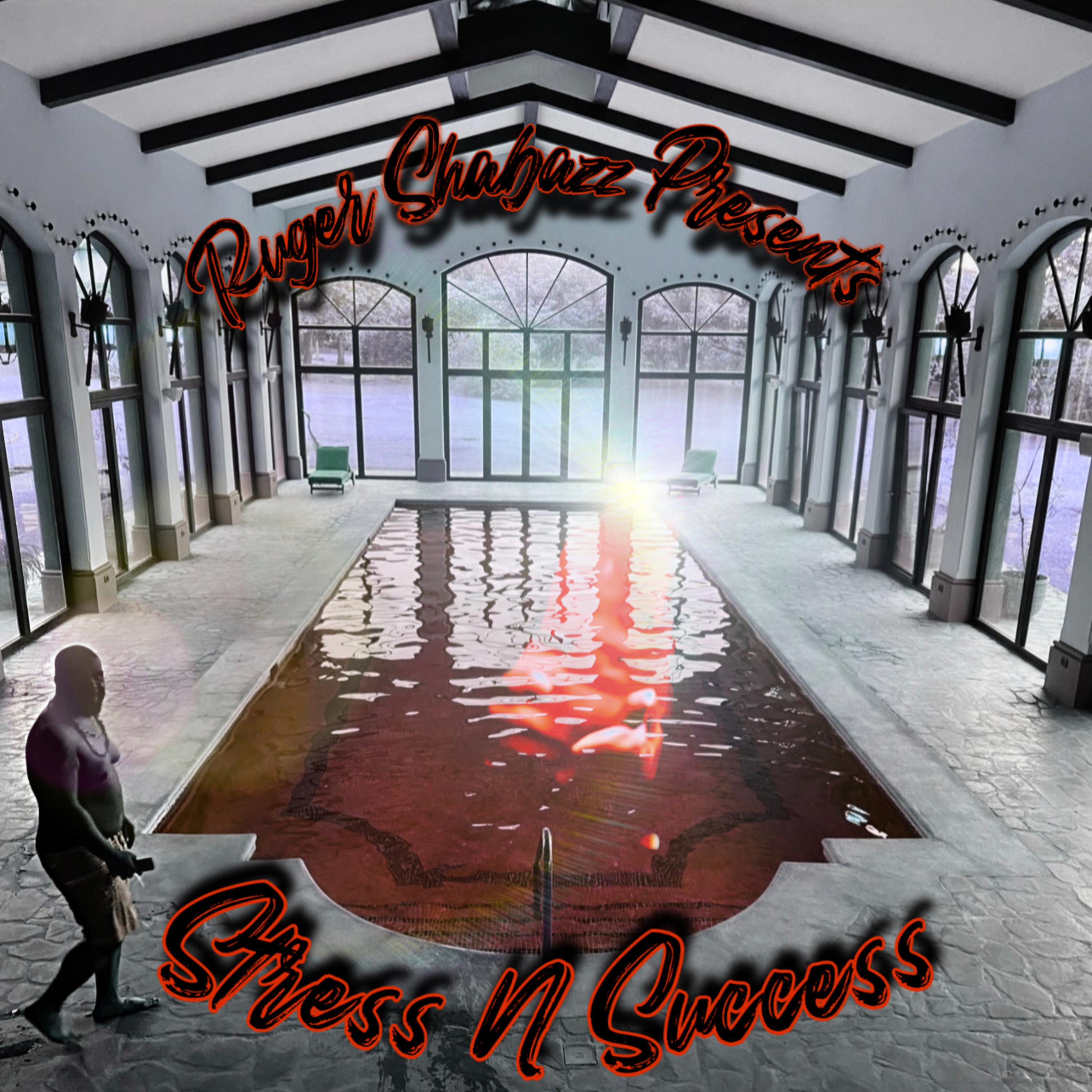 Stress N Success by DJ Ruger Shabazz cover art