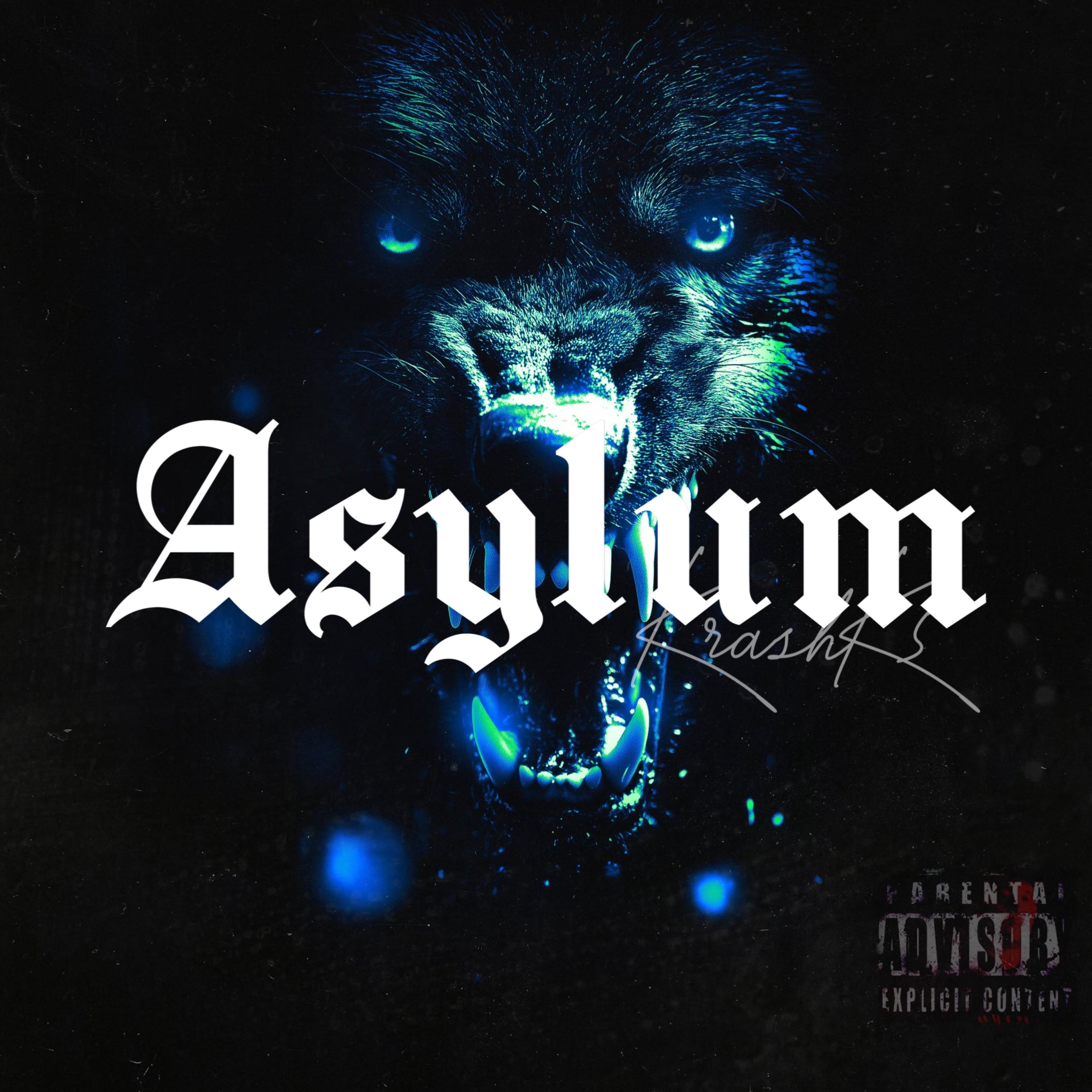 Asylum artwork