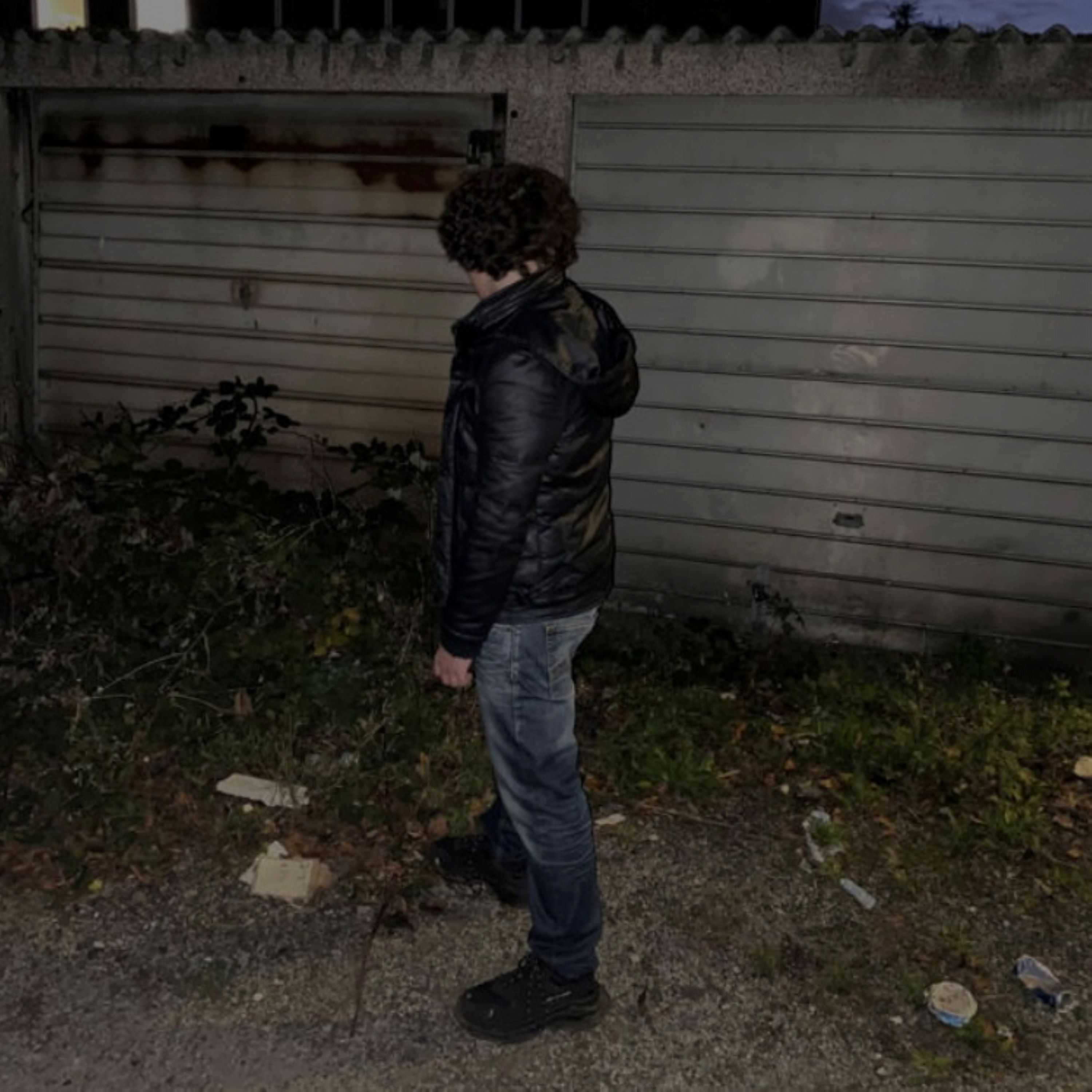 girl scout cookies artwork