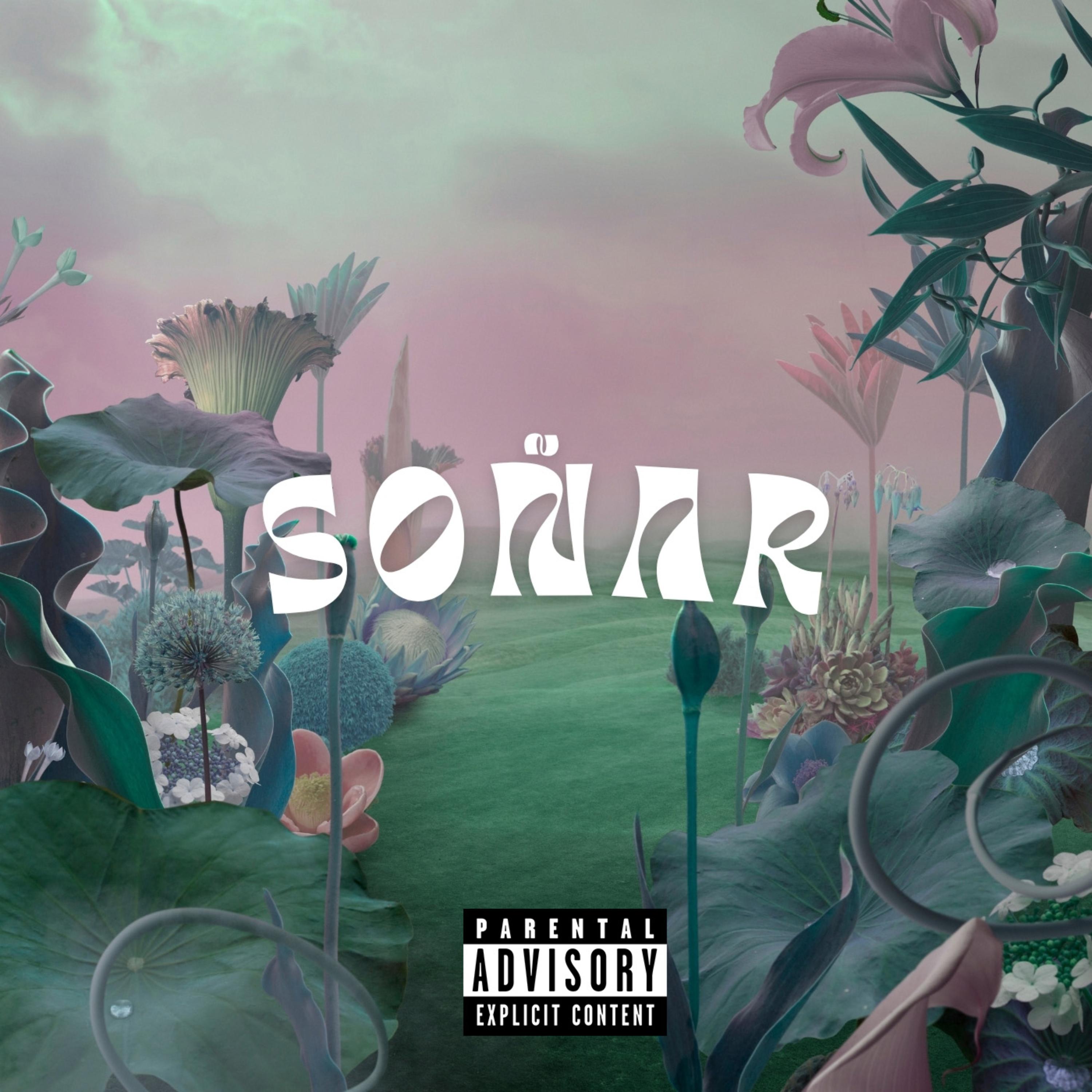 Soñar artwork