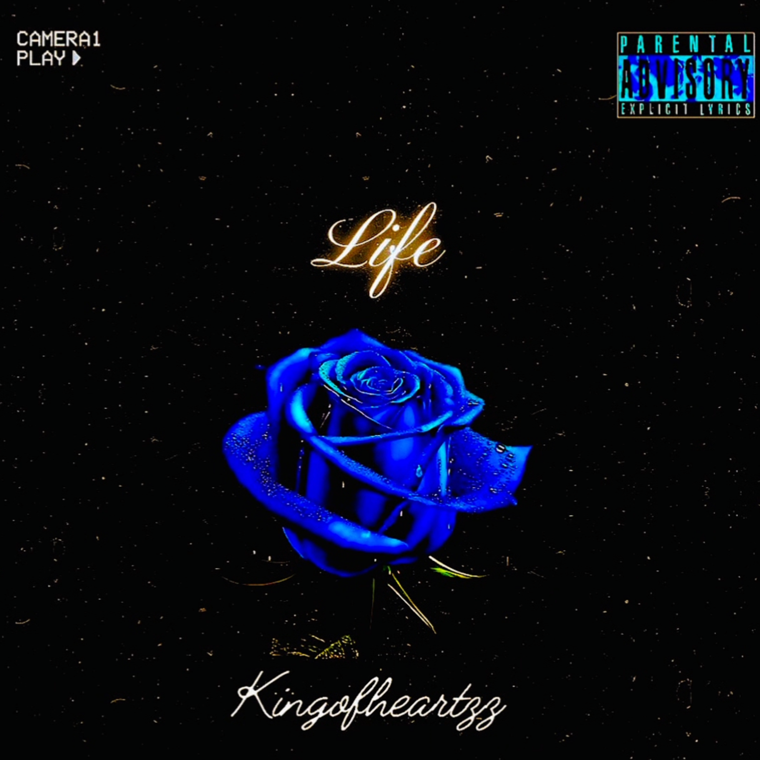 Life by Kingofheartzz cover art