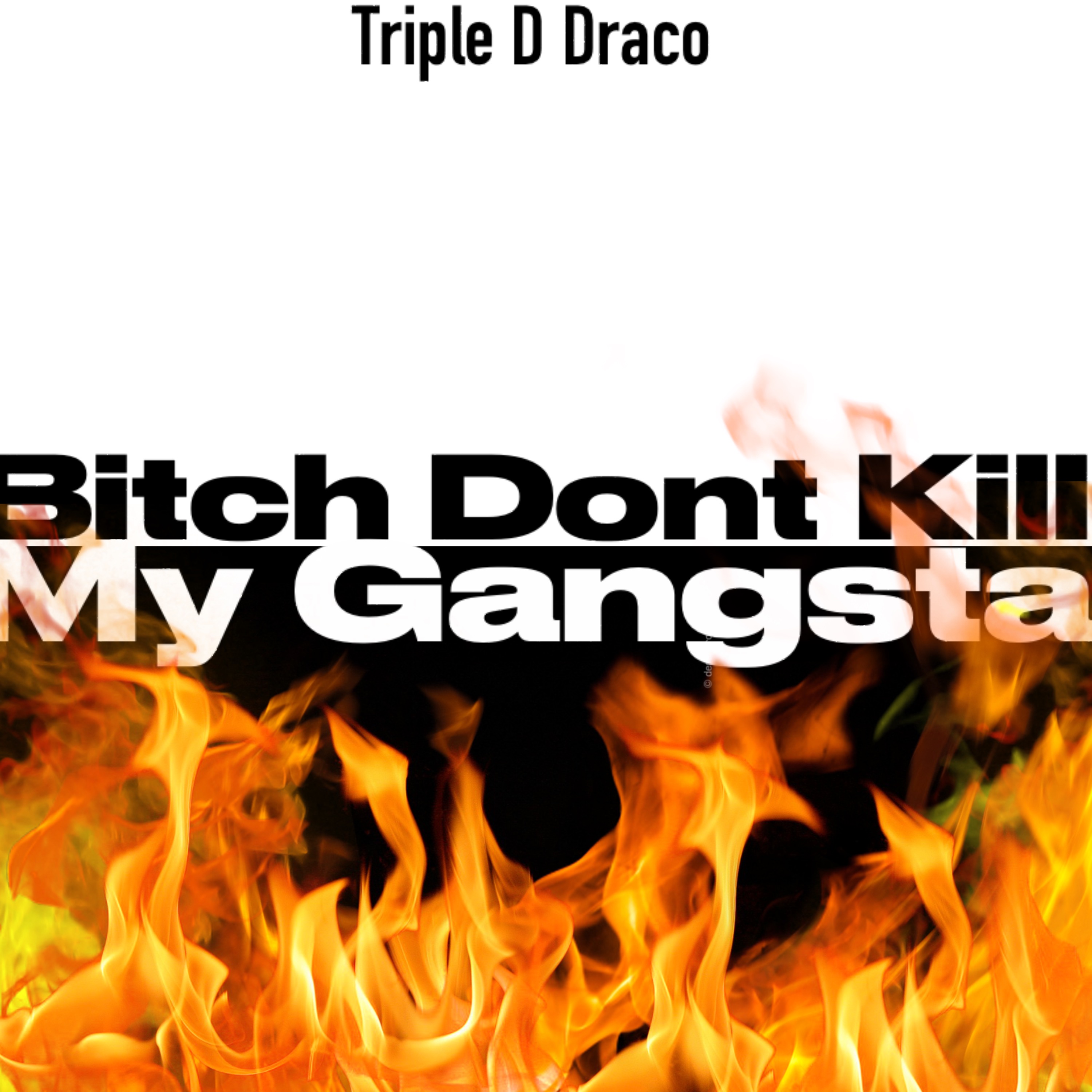 Bitch Don’t Kill My Gangsta artwork
