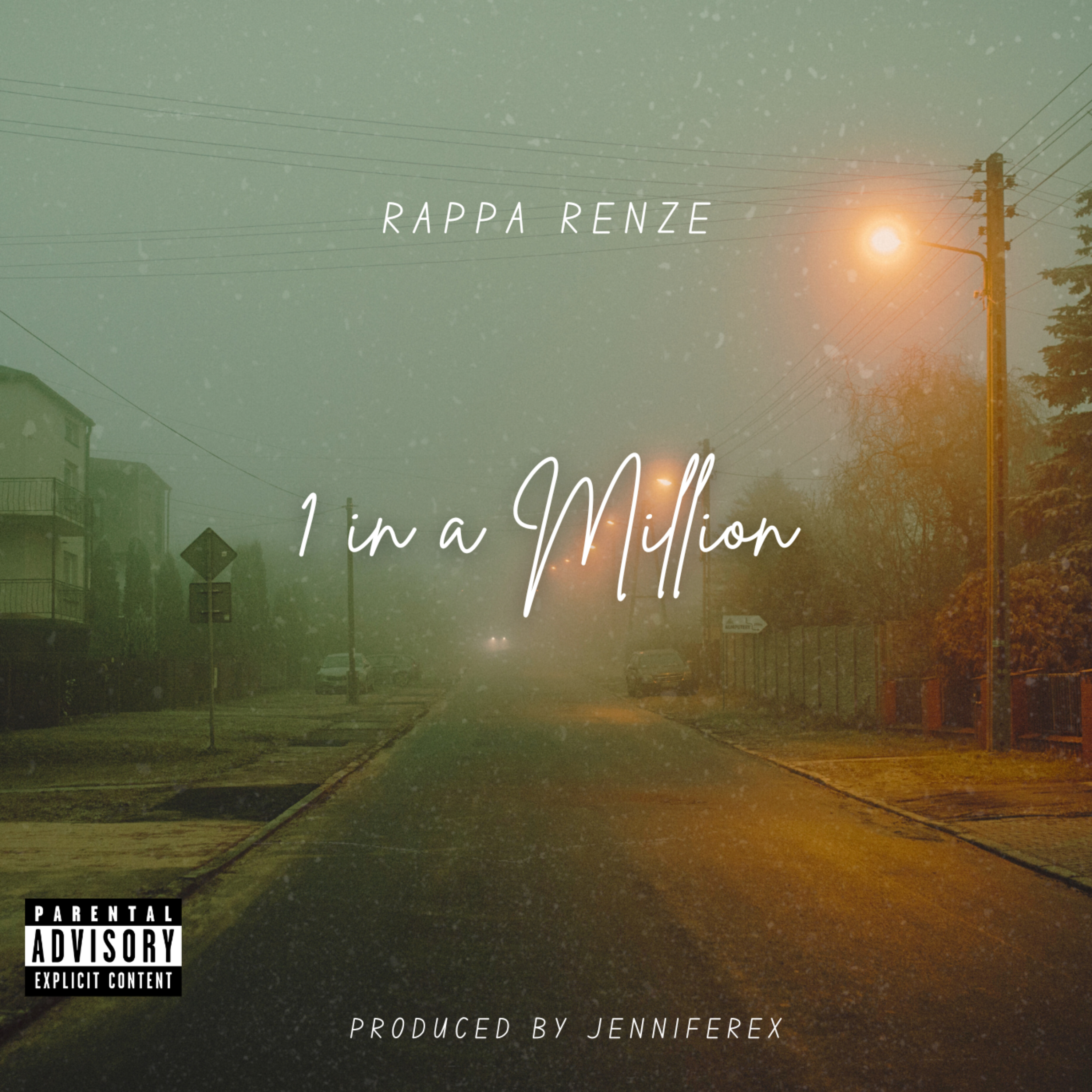 1 In a Million artwork