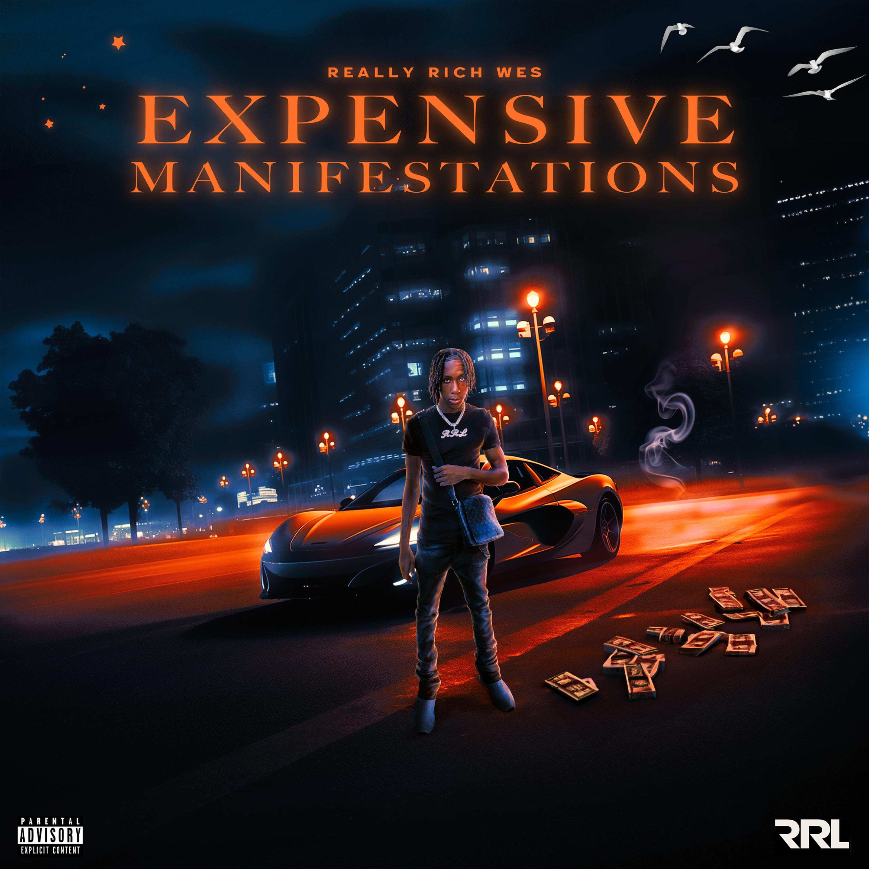 Expensive Manifestations artwork