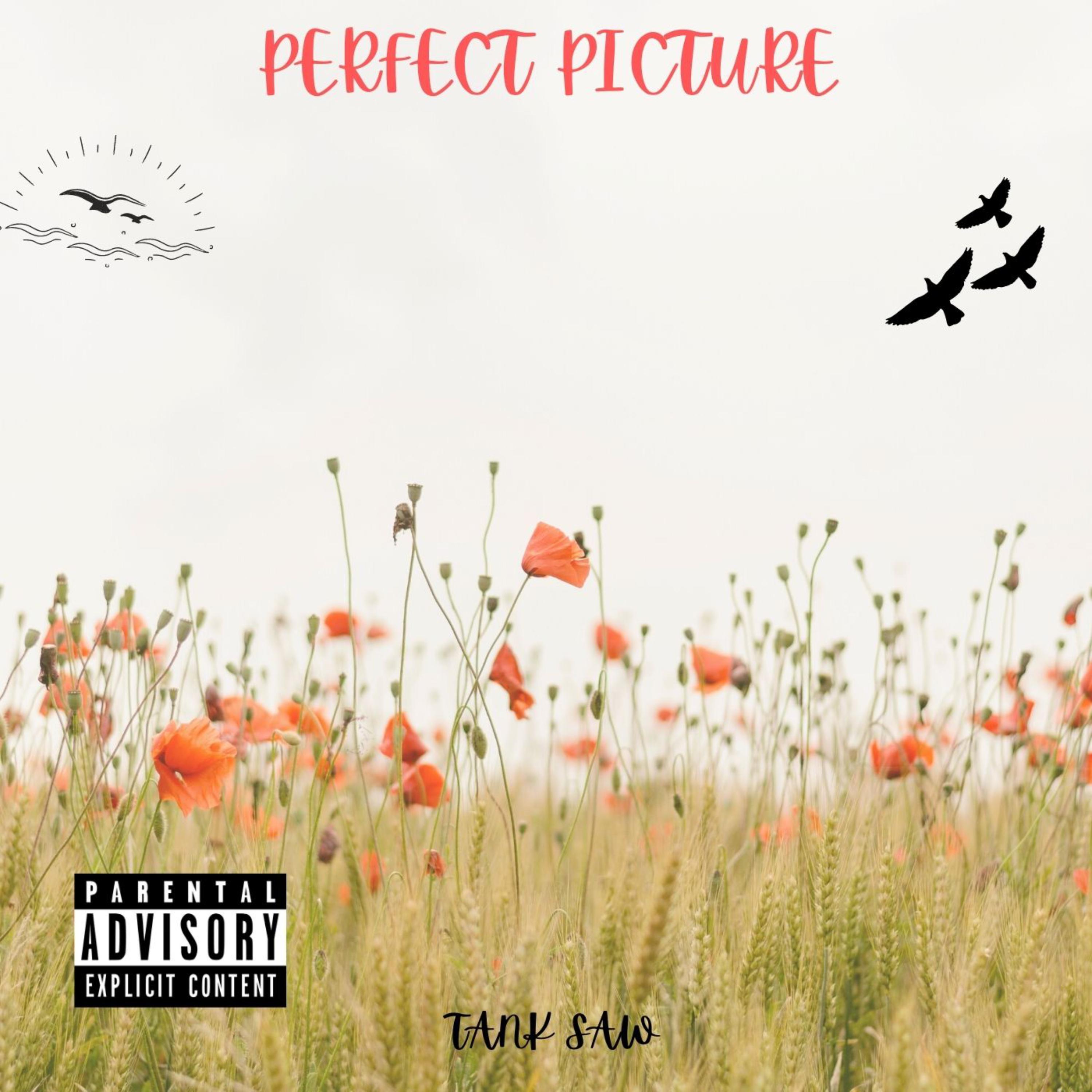 Perfect Picture artwork