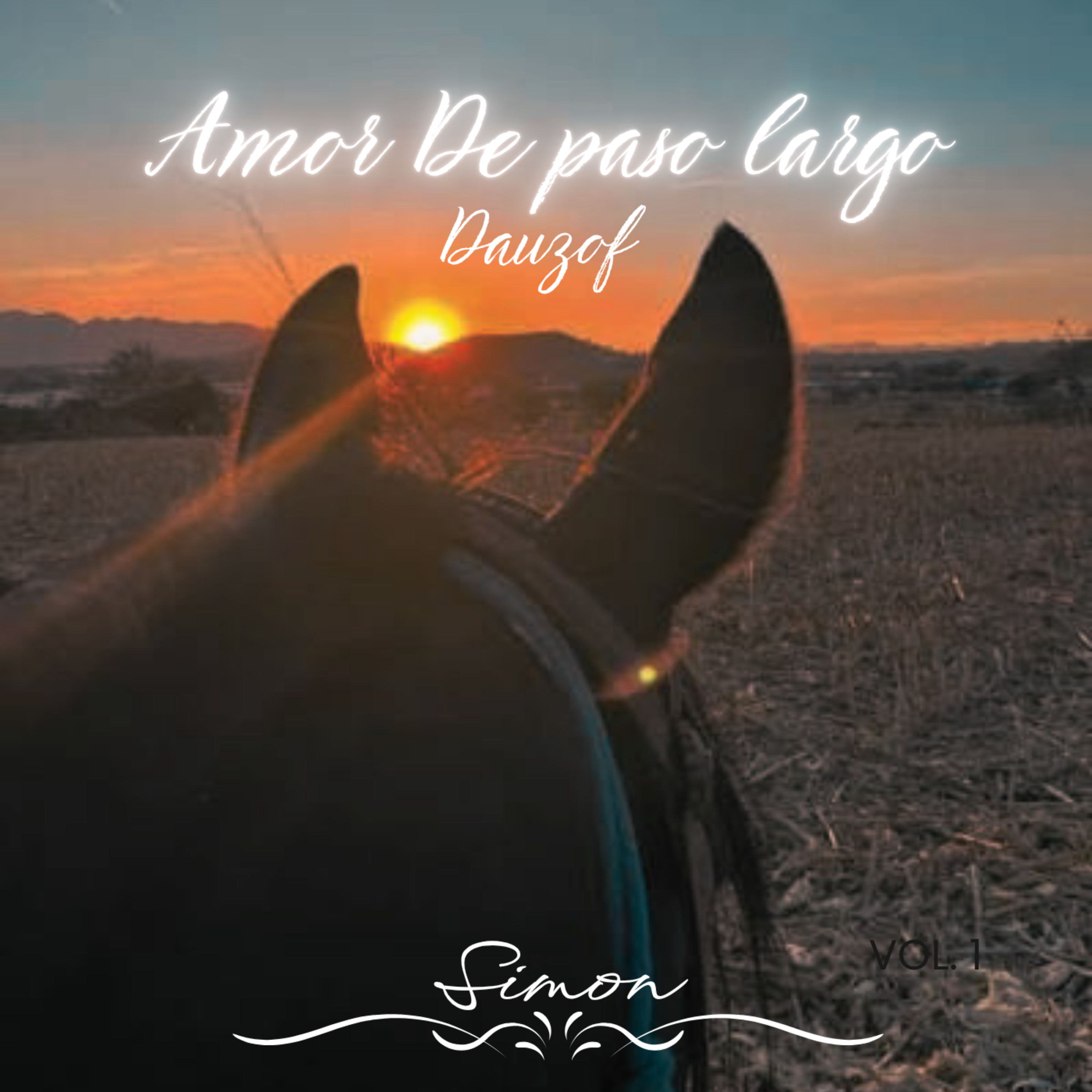 Amor de paso largo by DAUZ OF cover art