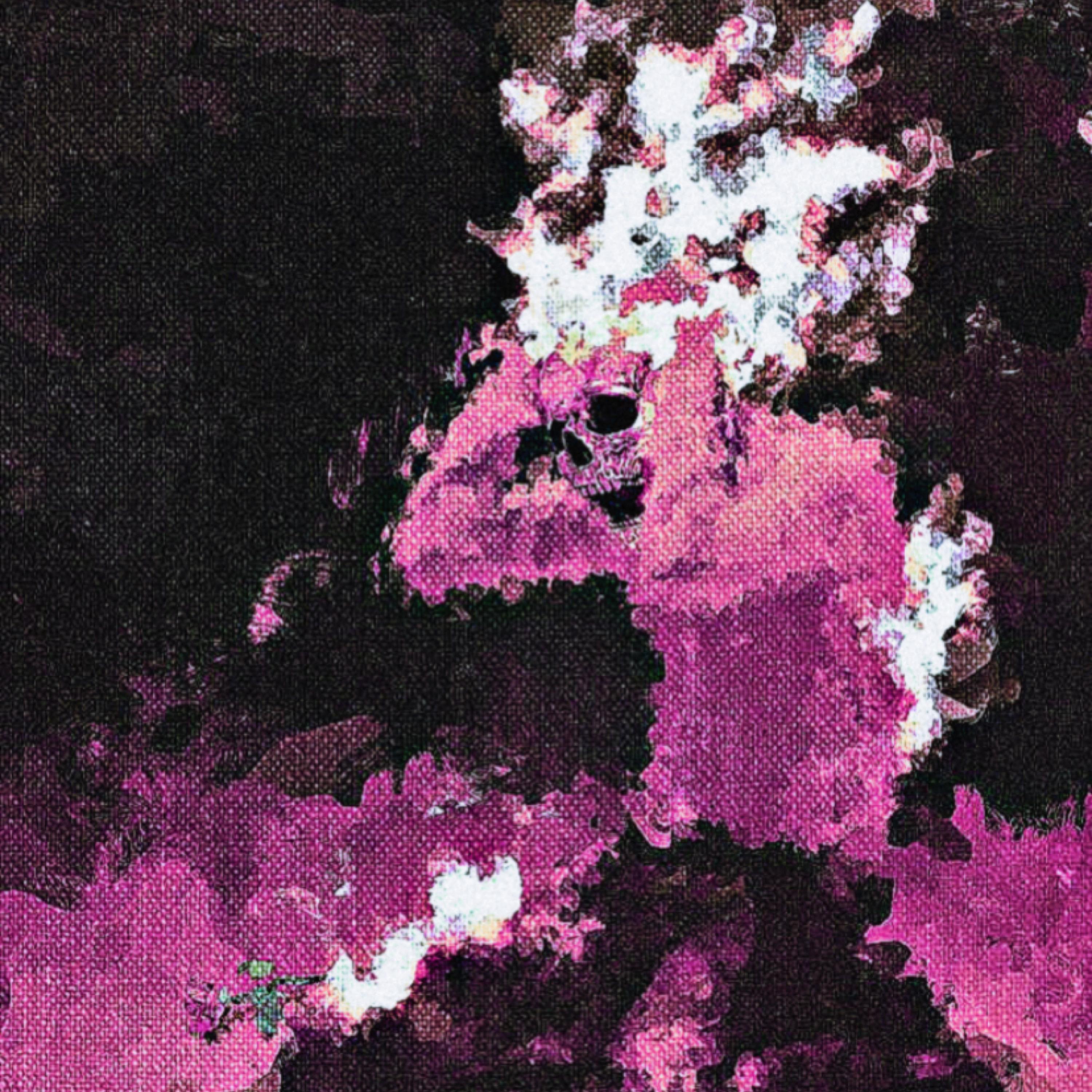 Money Hungry artwork