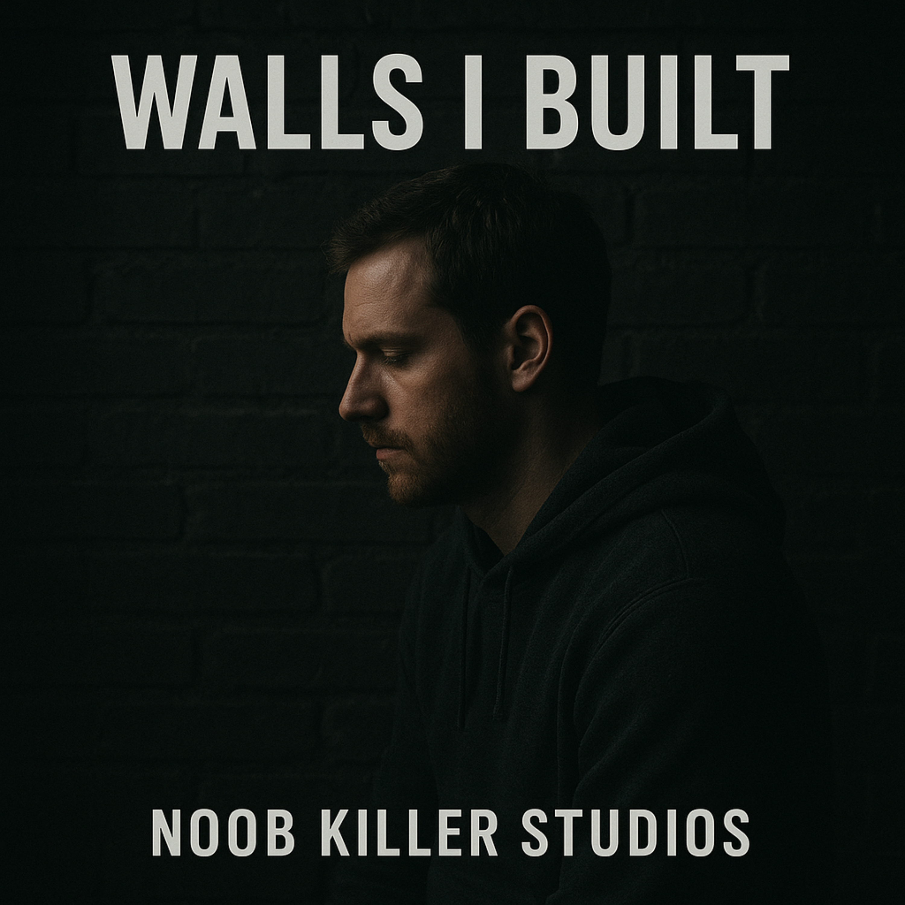 Walls I Built artwork