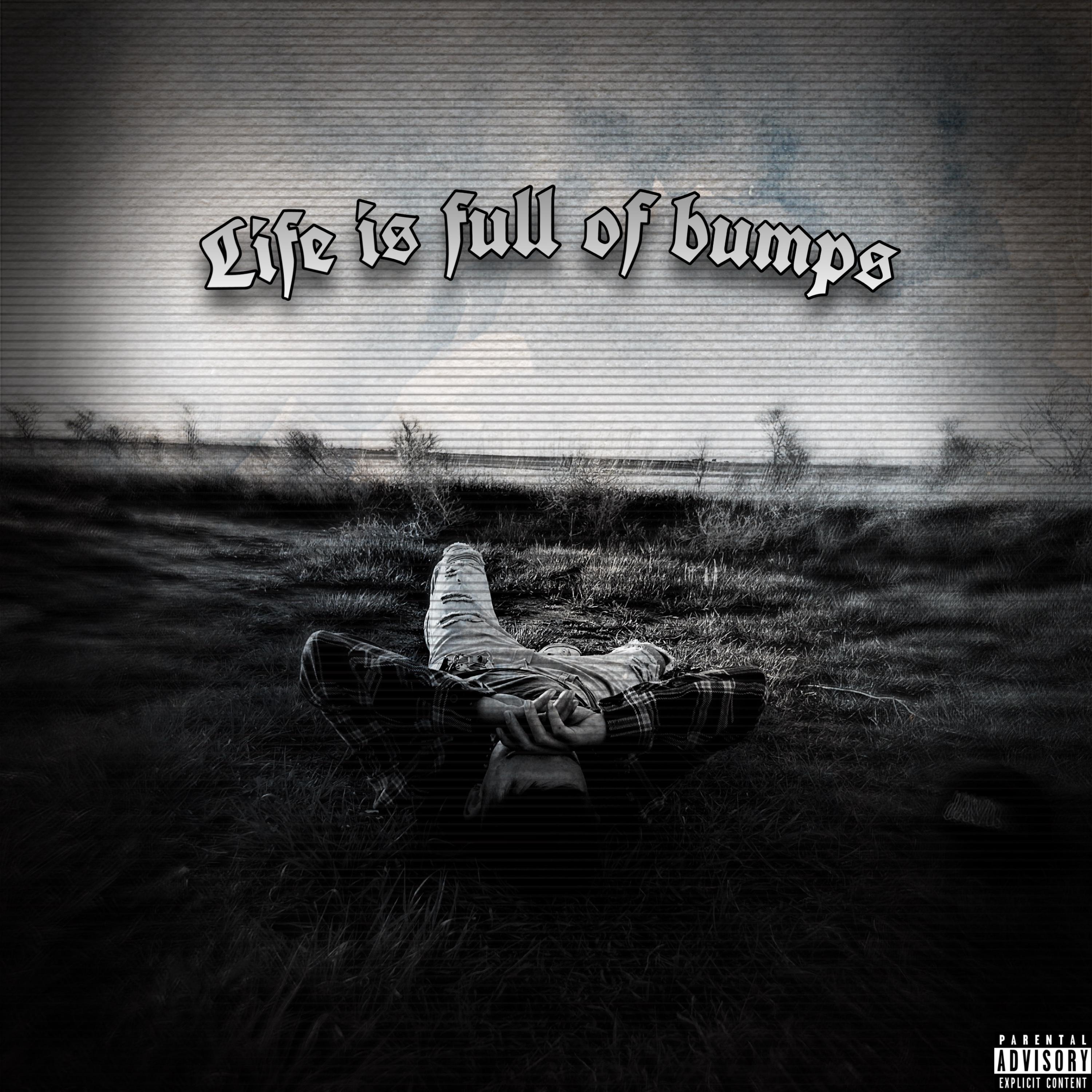 Life is Full of Bumps artwork