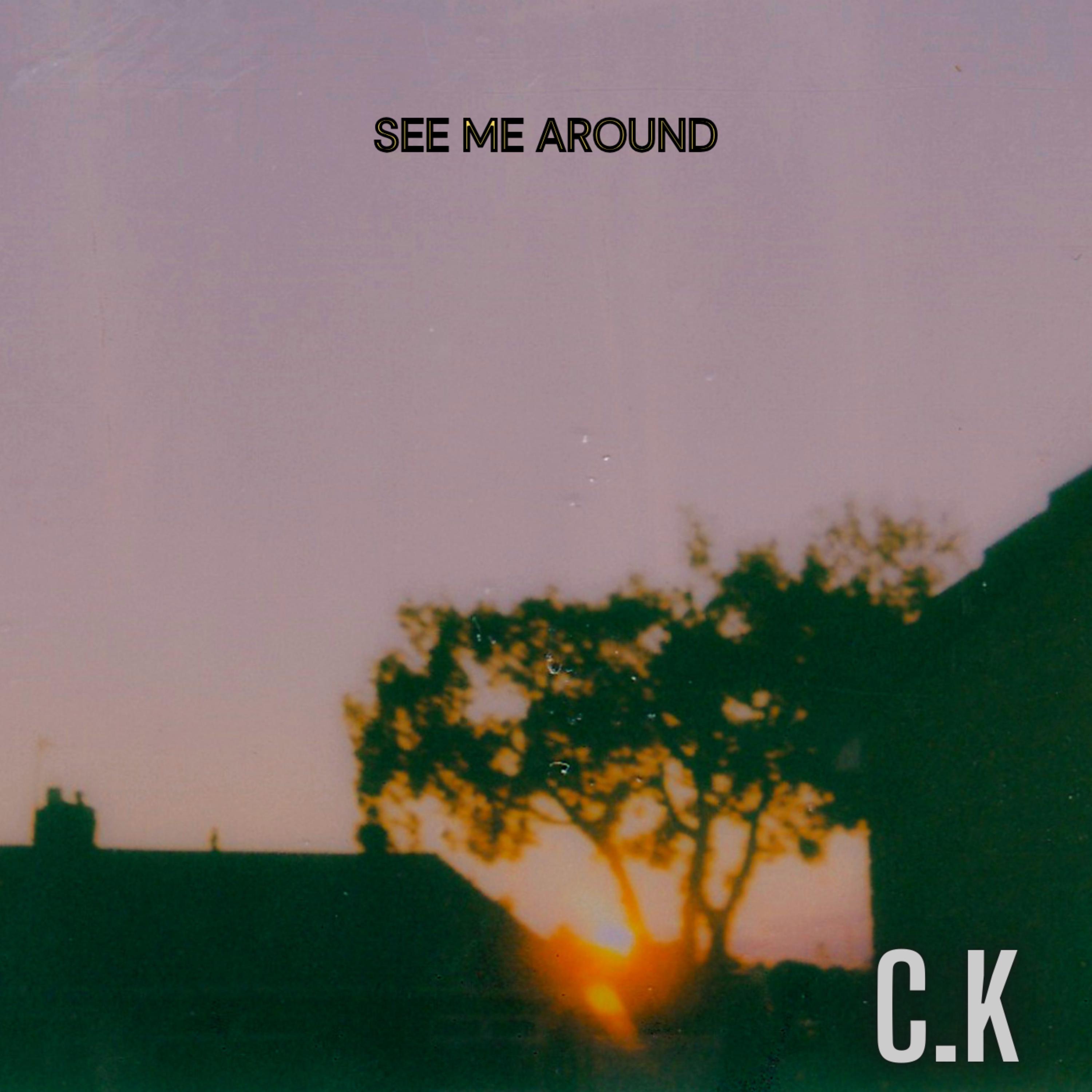 See Me Around artwork