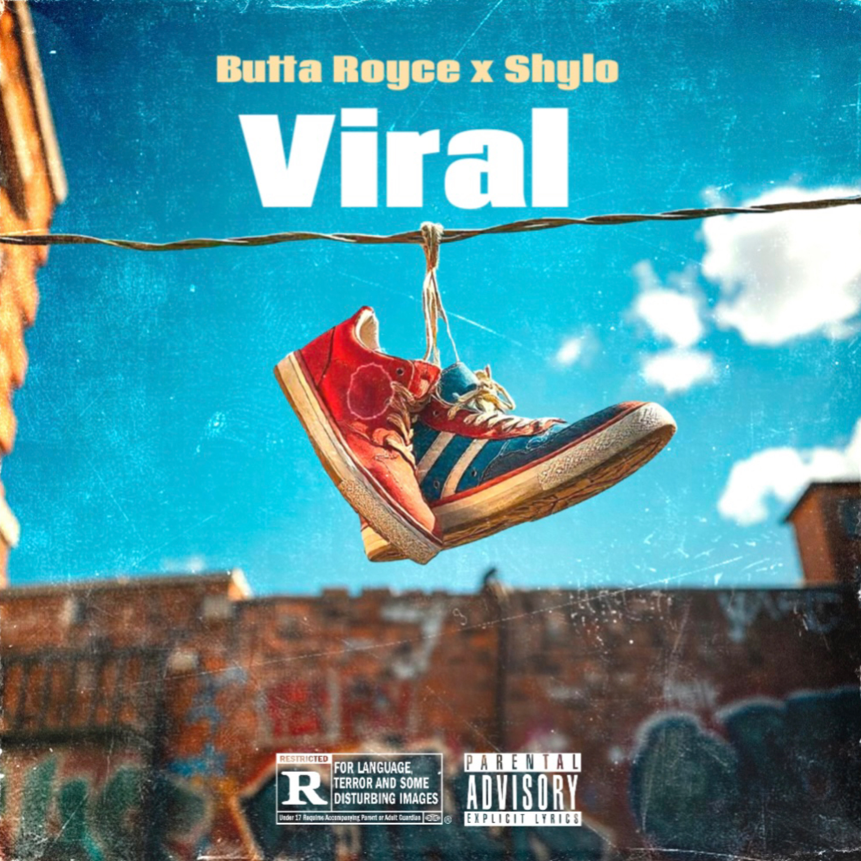 Viral artwork
