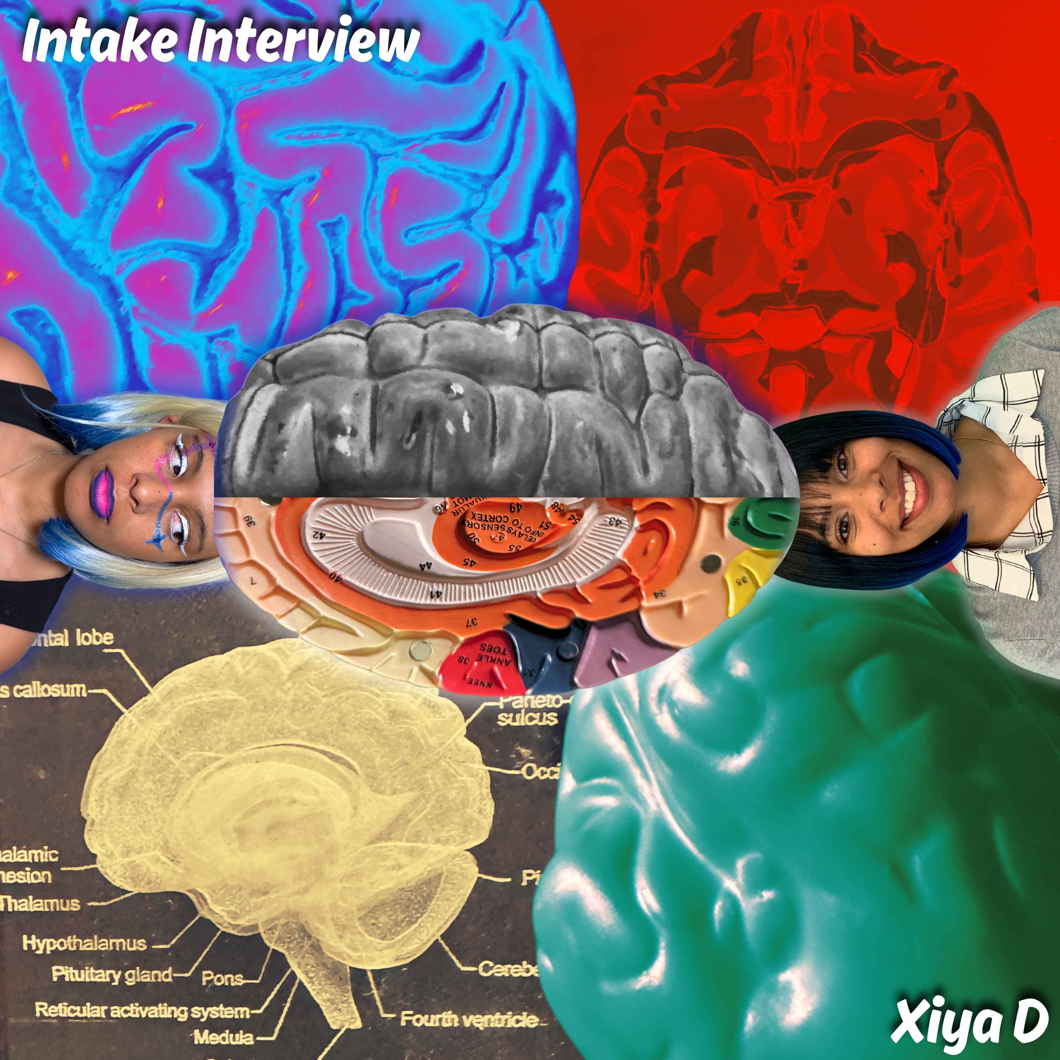 Intake Interview by Xiya D cover art