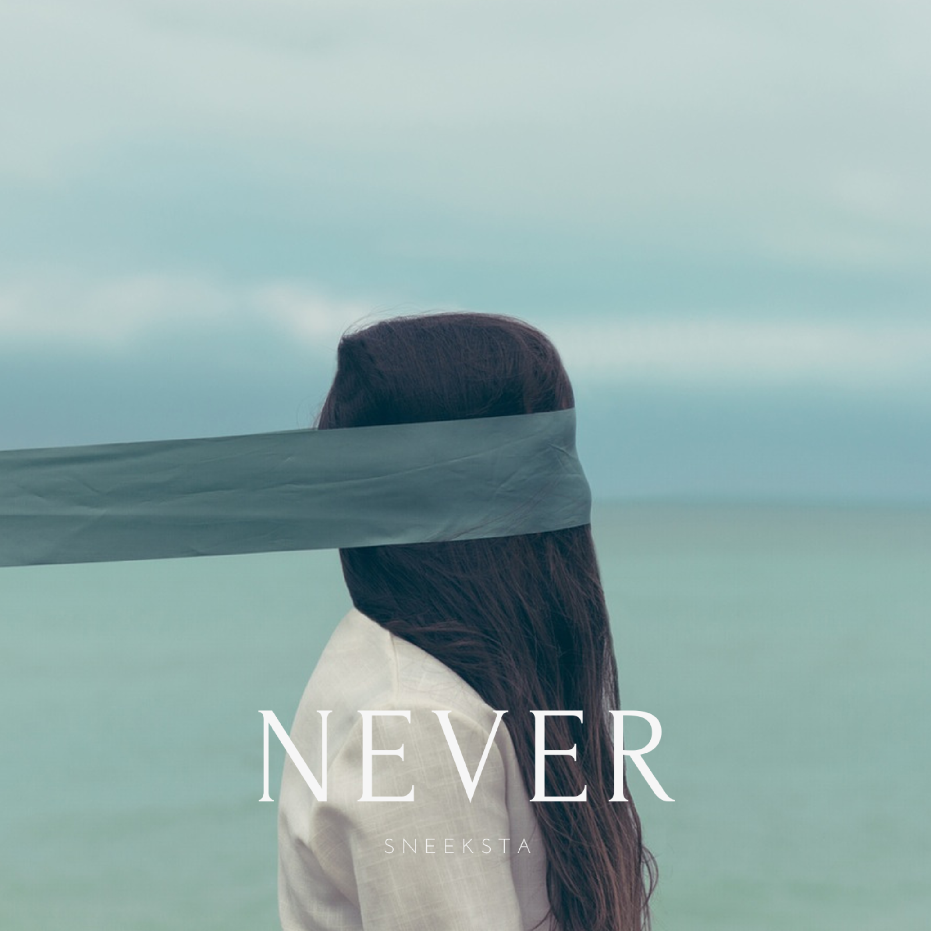Never artwork