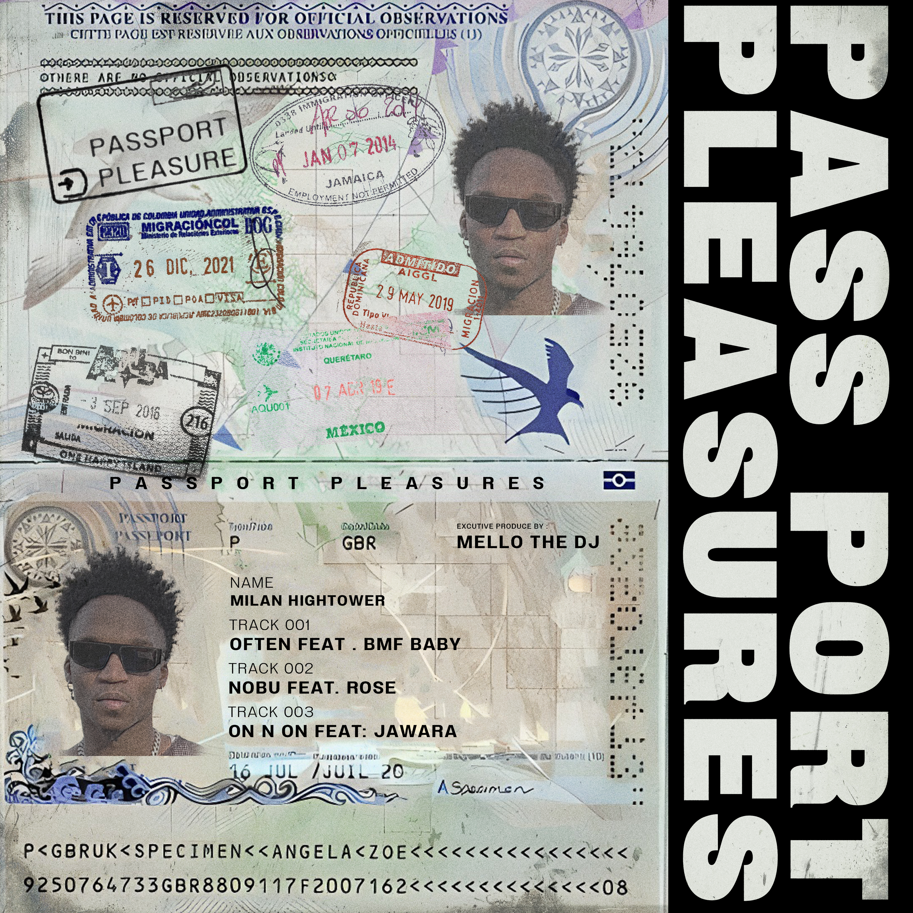 Passport Pleasures artwork