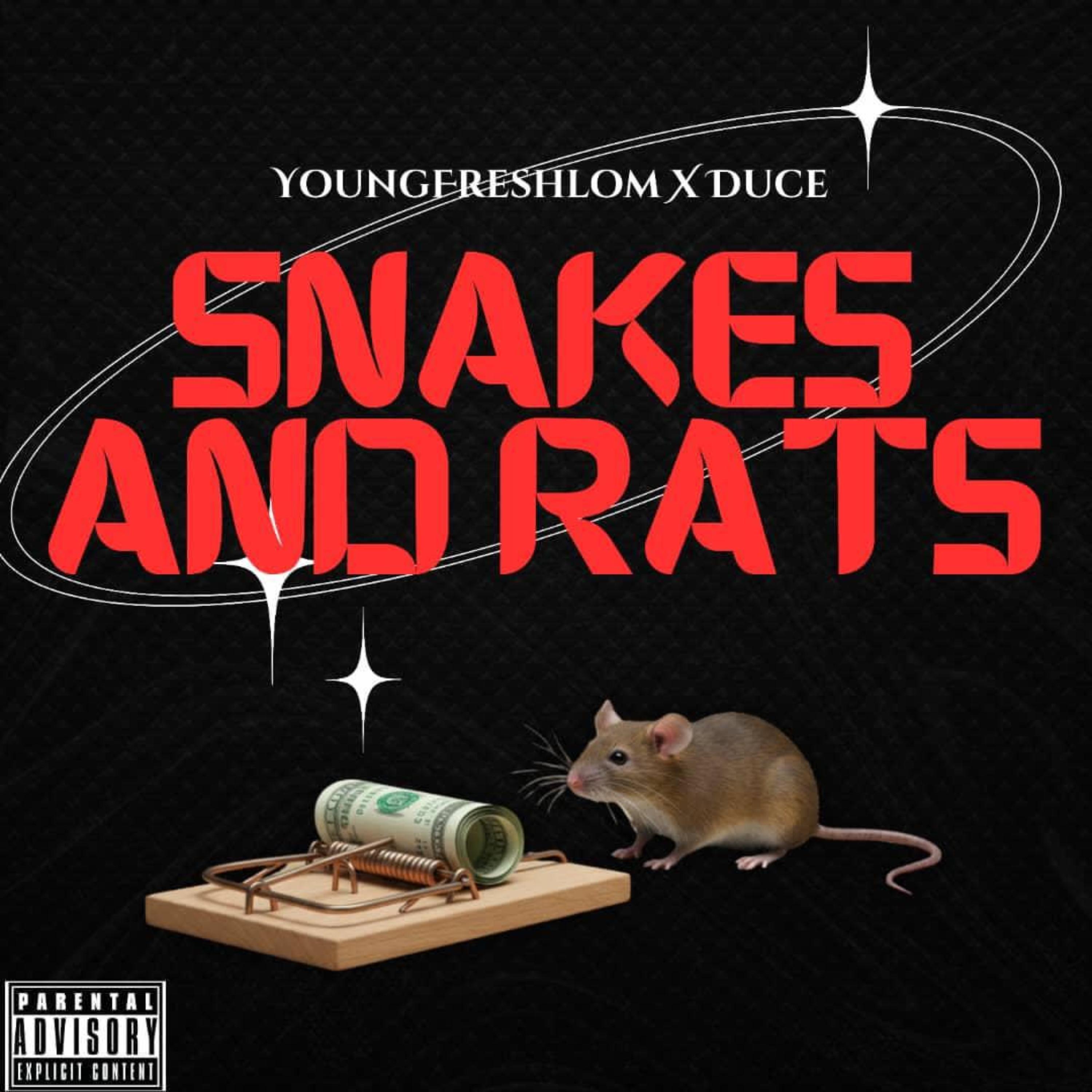 Snakes And Rats artwork