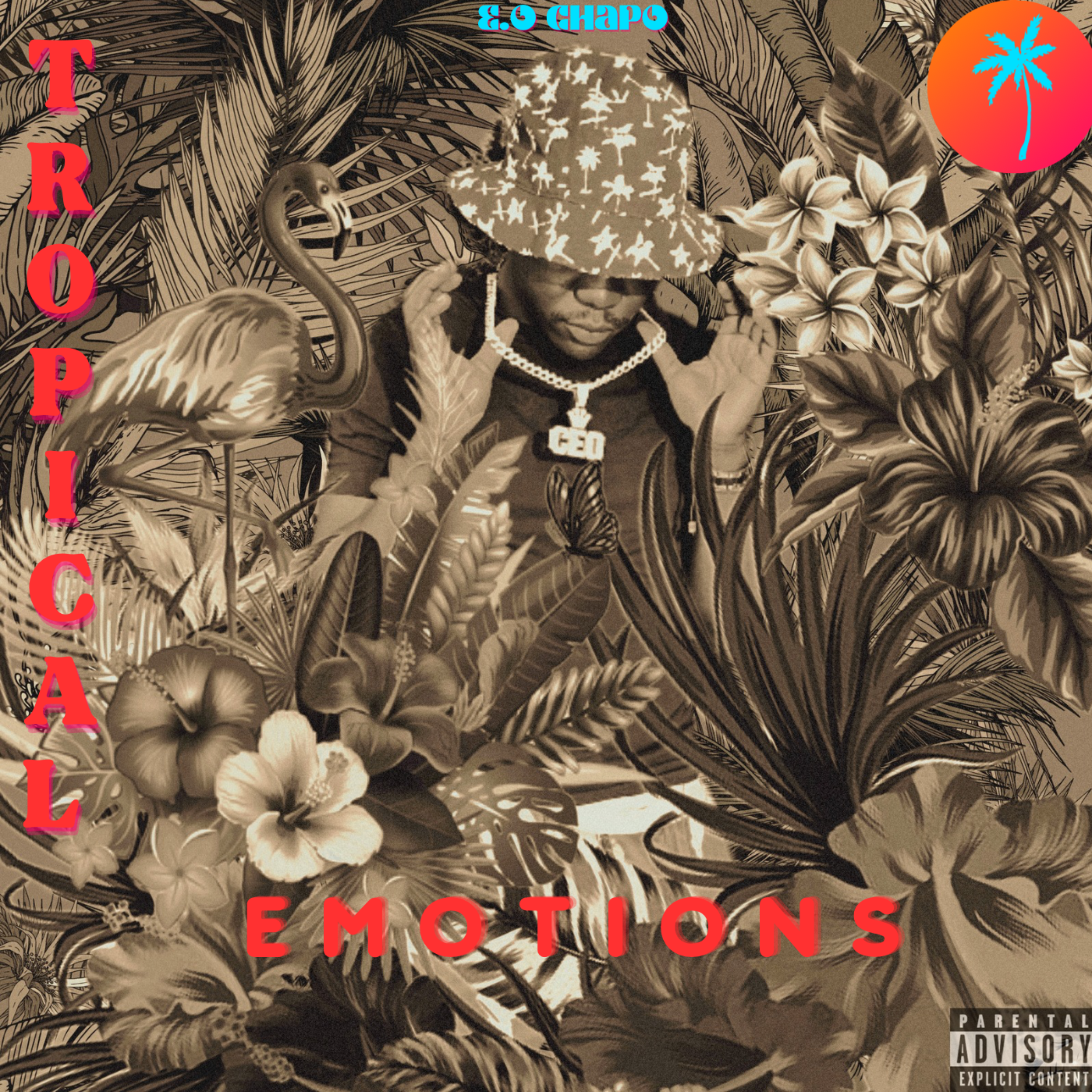 TROPICAL EMOTIONS artwork