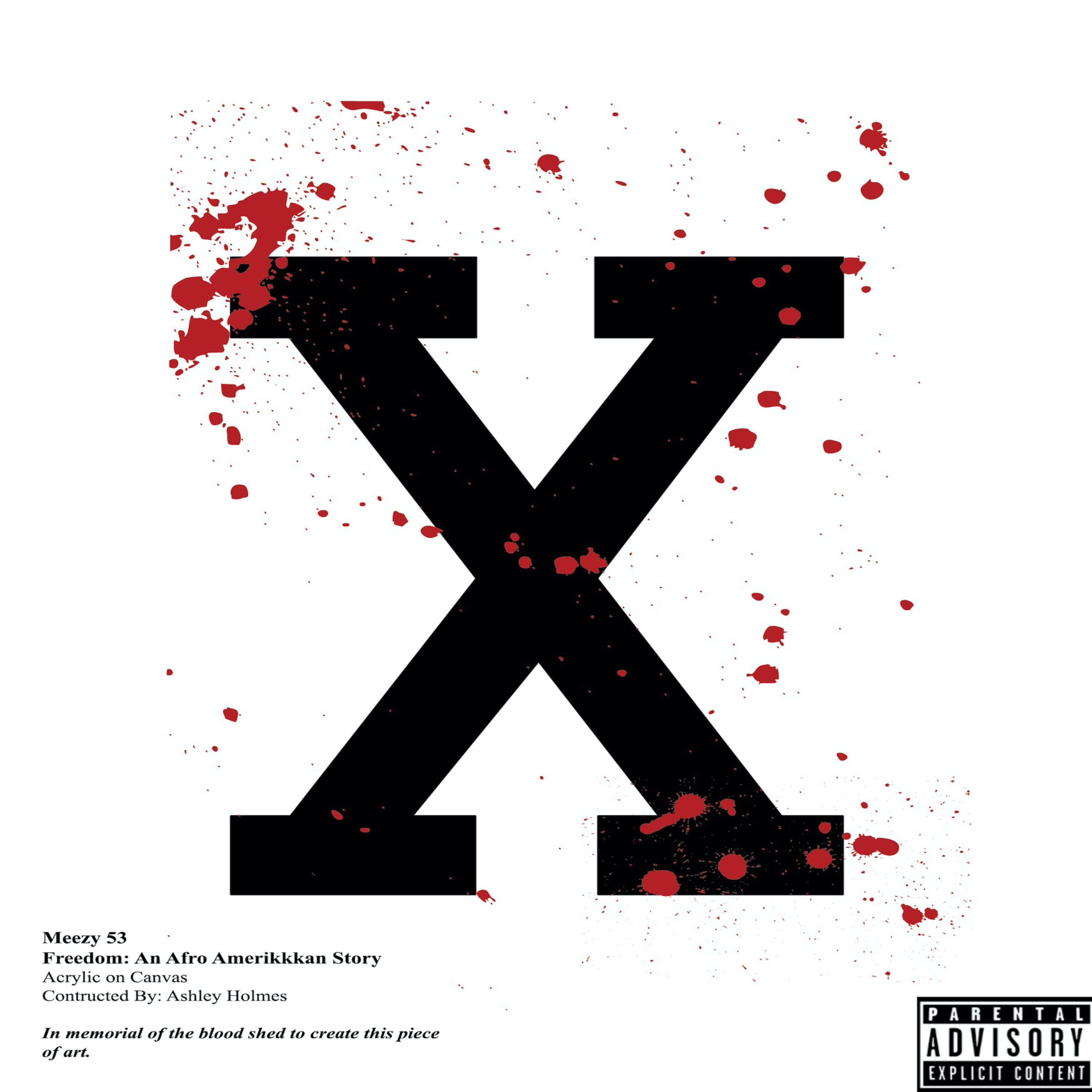 Freedom: An Afro Amerikkkan Story artwork