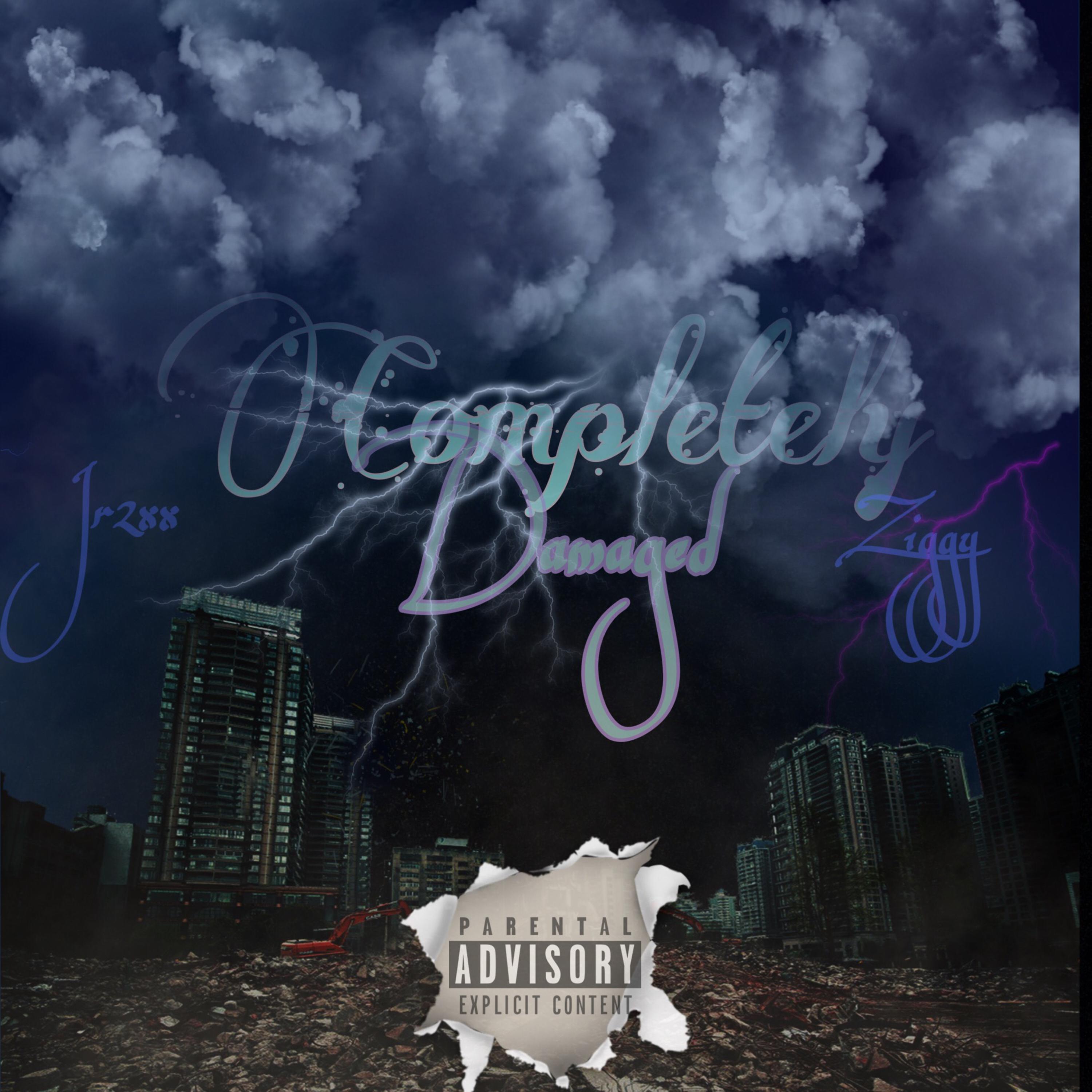 Completely Damaged artwork