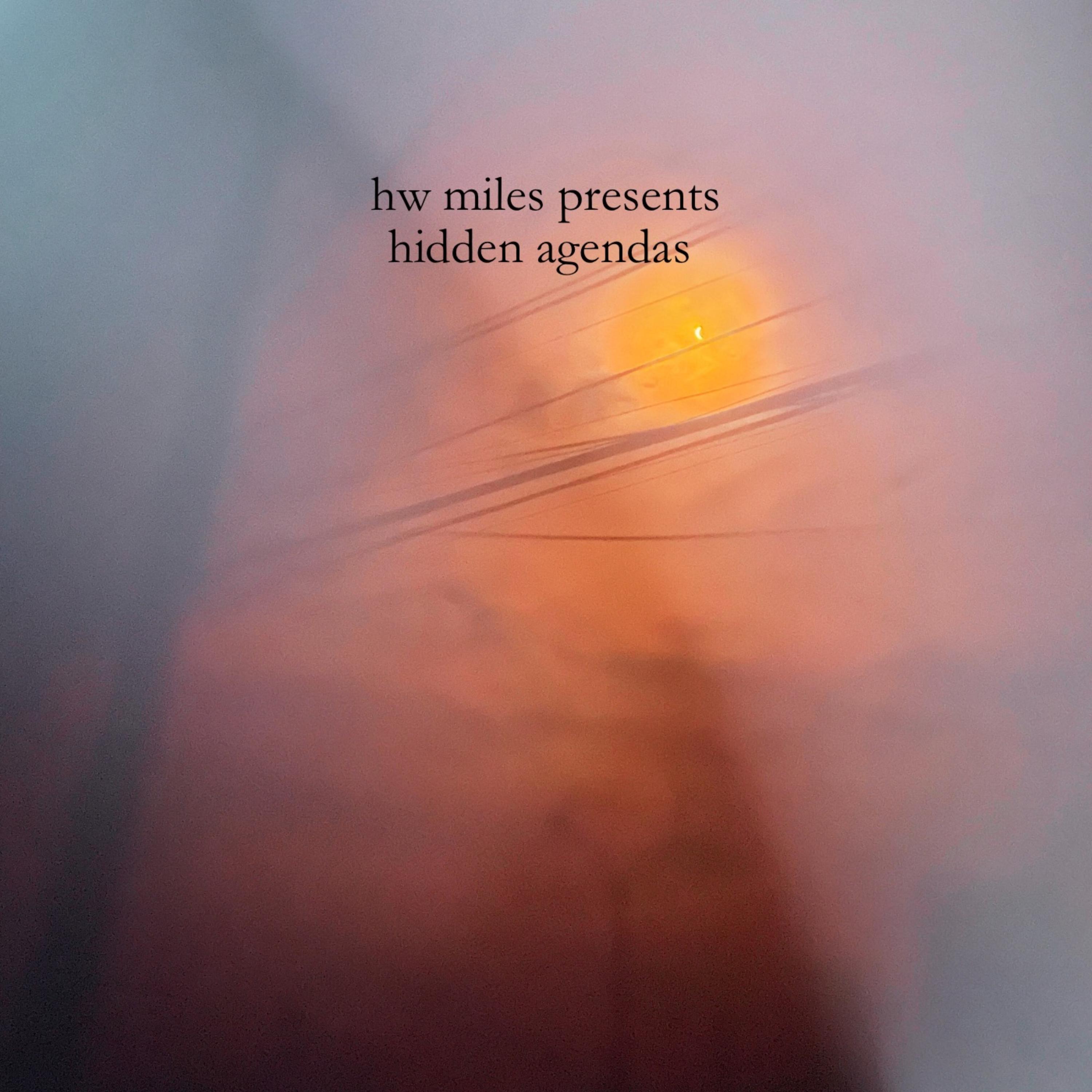 Hidden agendas by hw miles cover art