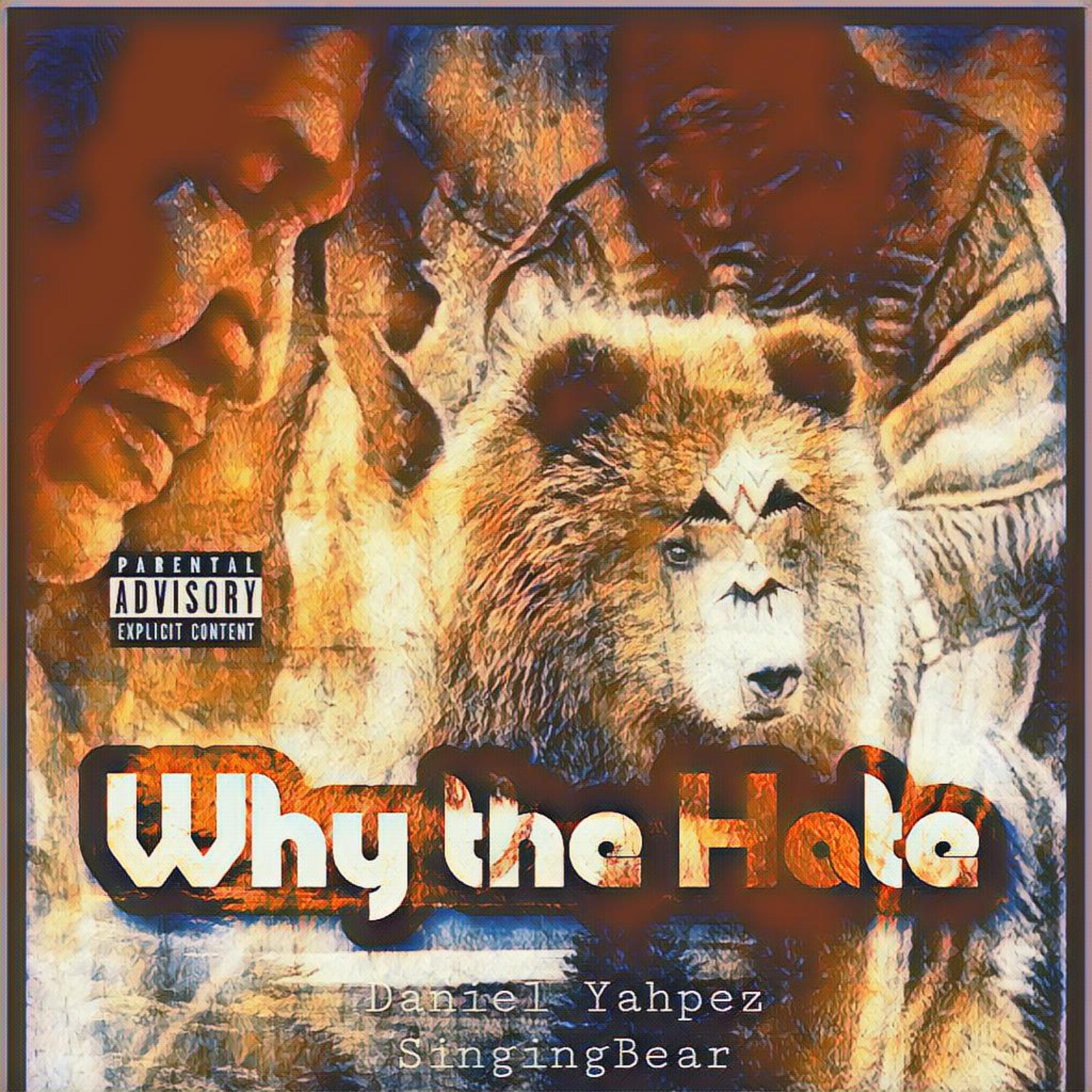 Why The Hate  artwork