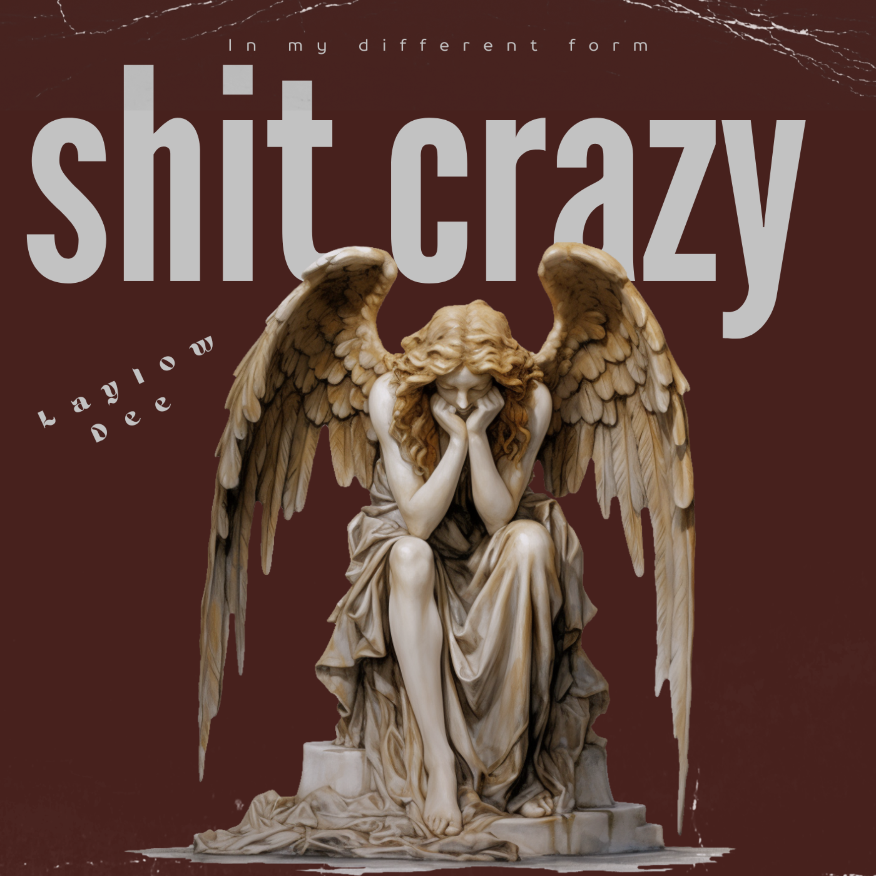 Shit Crazy artwork