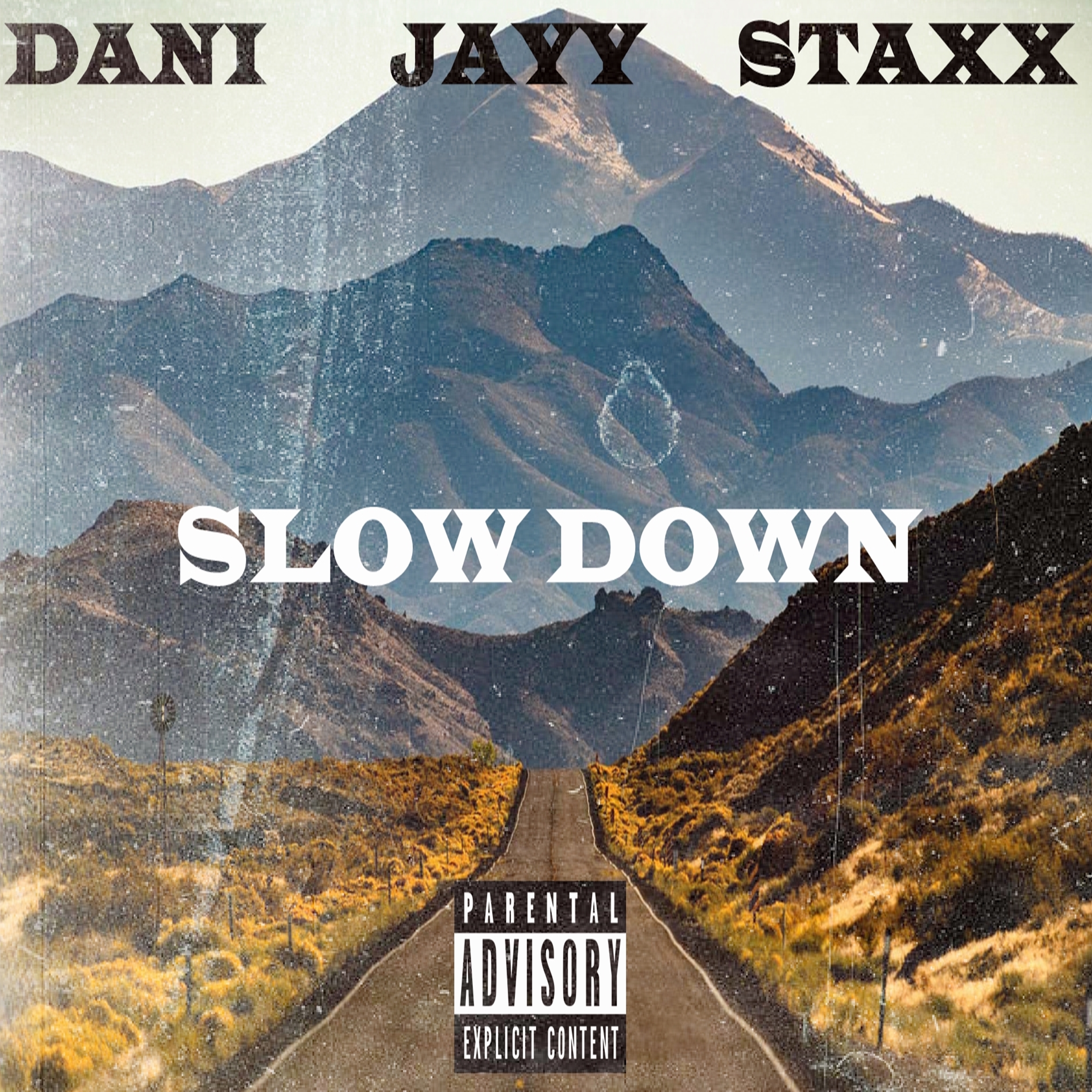 SLOW DOWN by Dani Jayy Staxx cover art