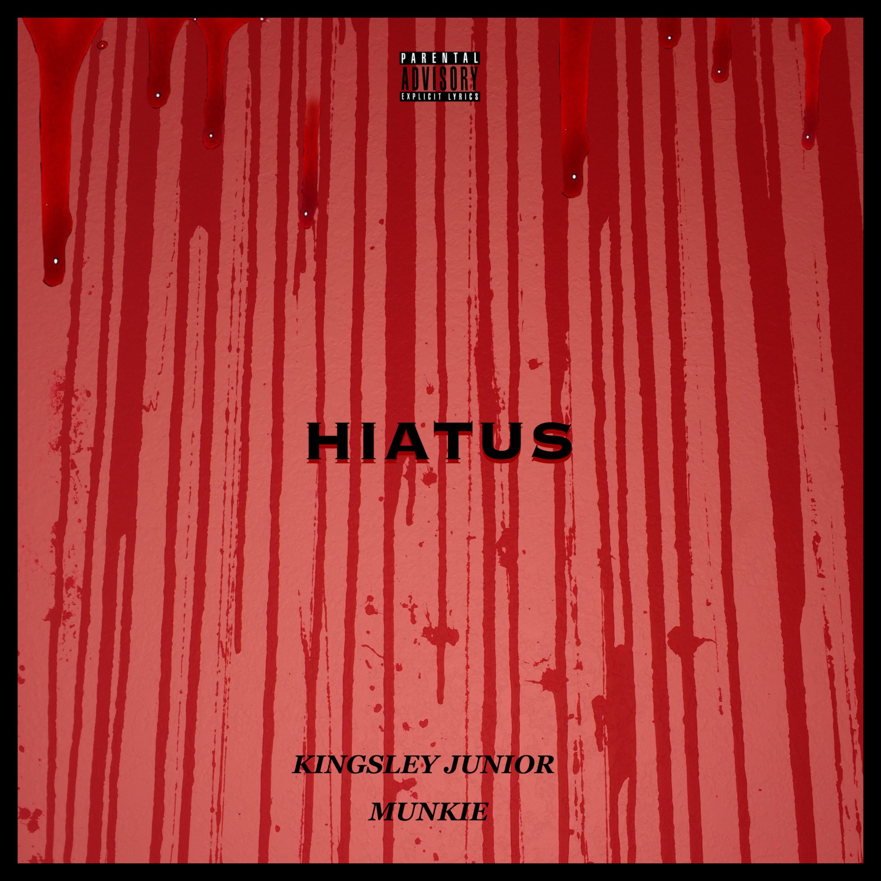 H I A T U S artwork