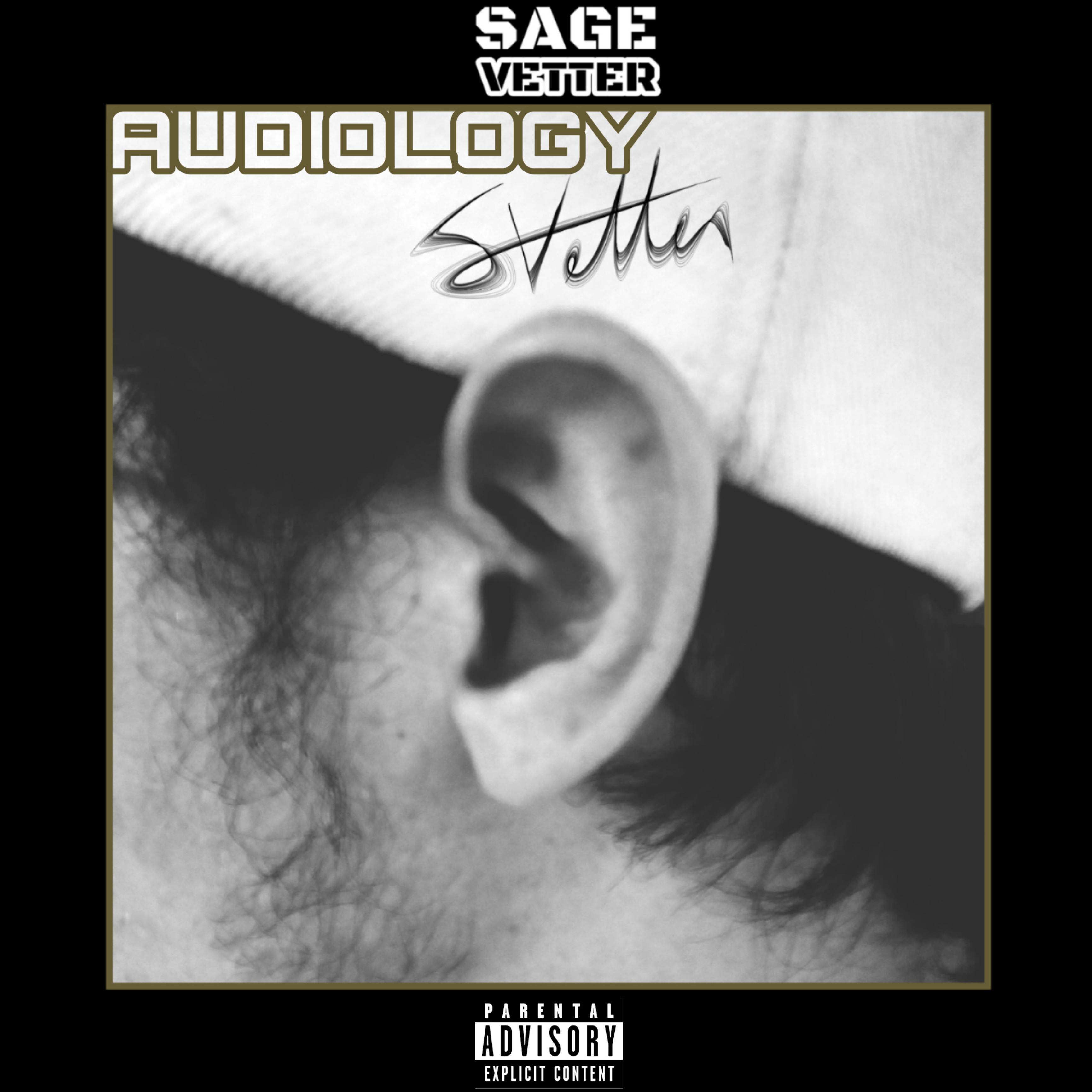 Audiology by Sage Vetter cover art