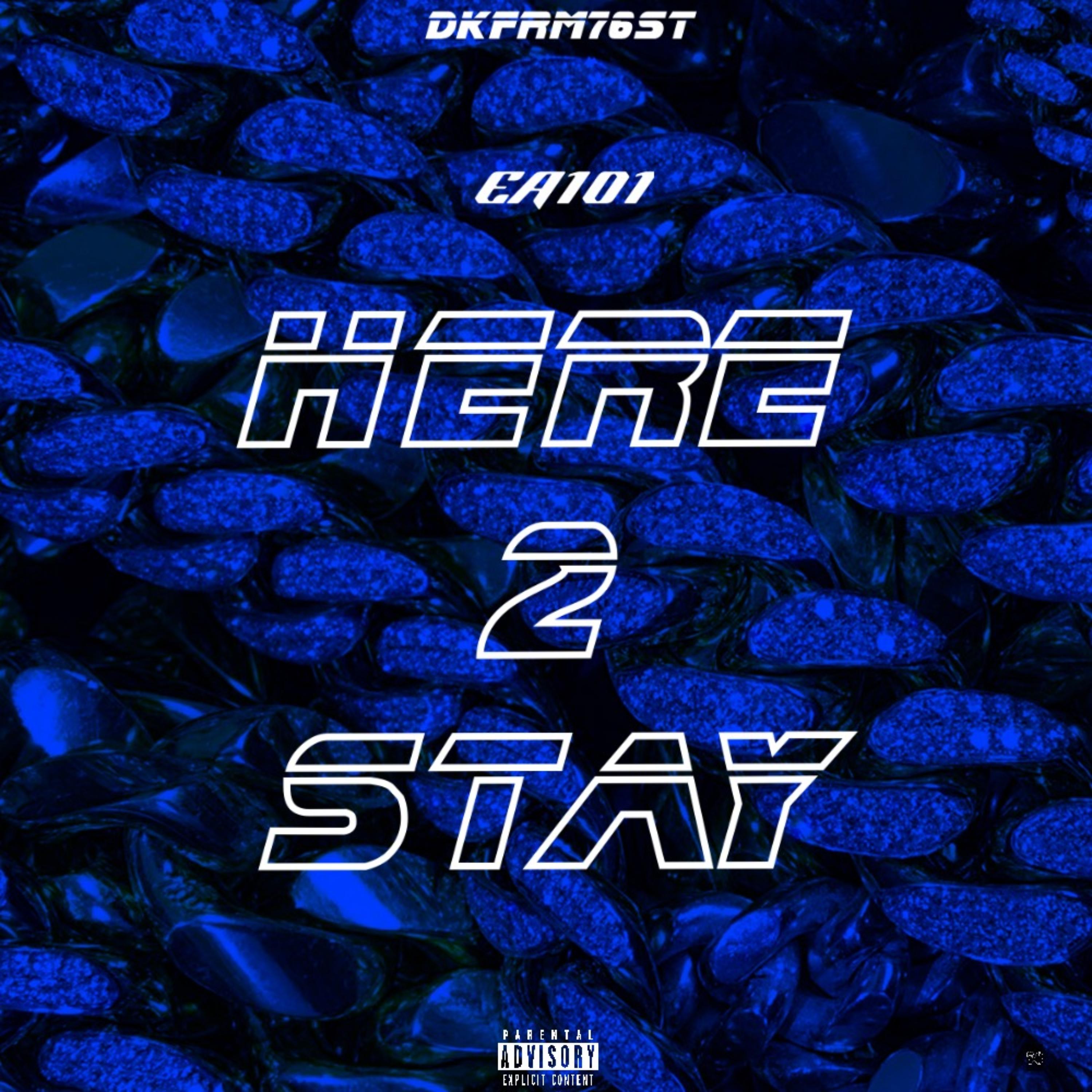 HERE 2 STAY artwork