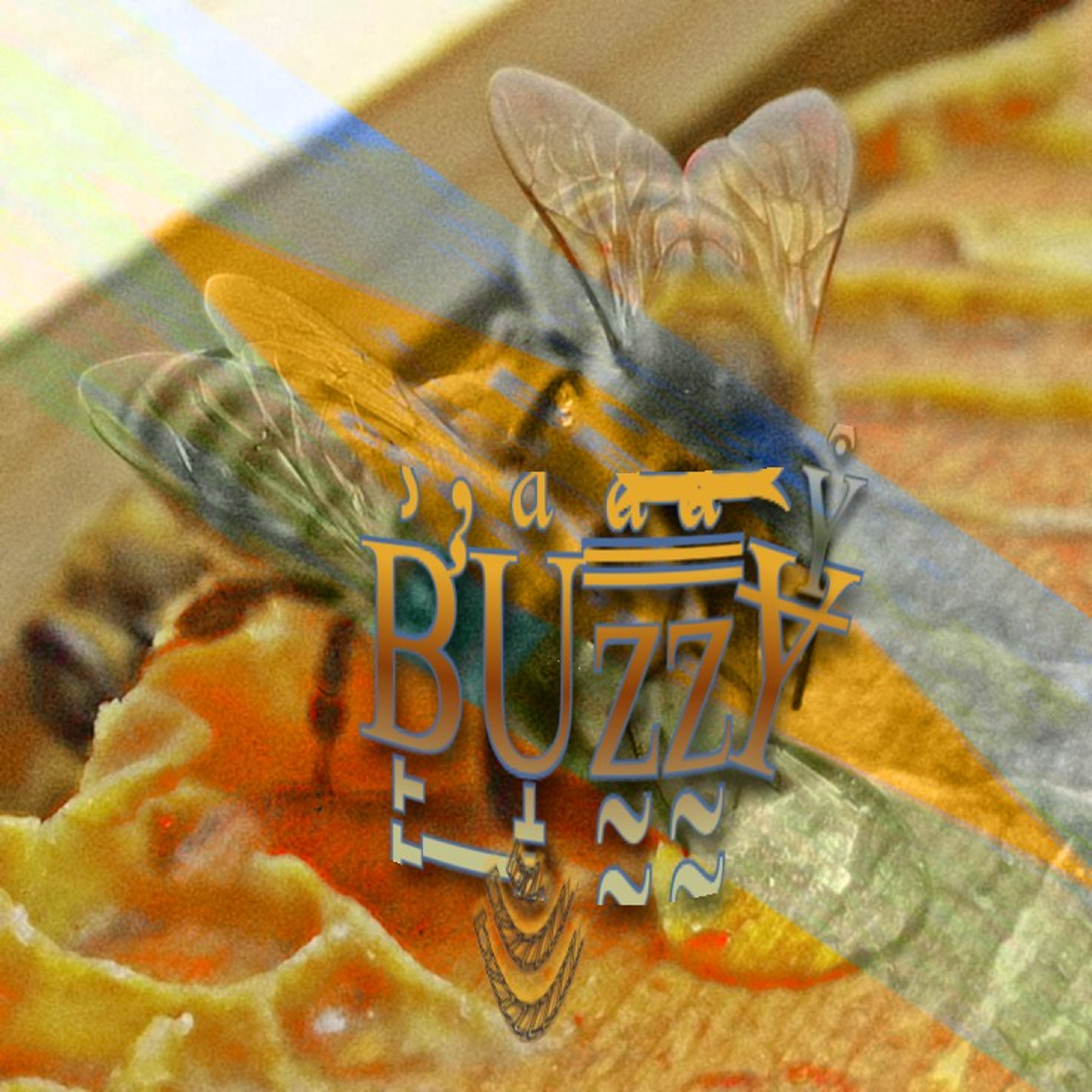 BUZZY by DAMA cover art
