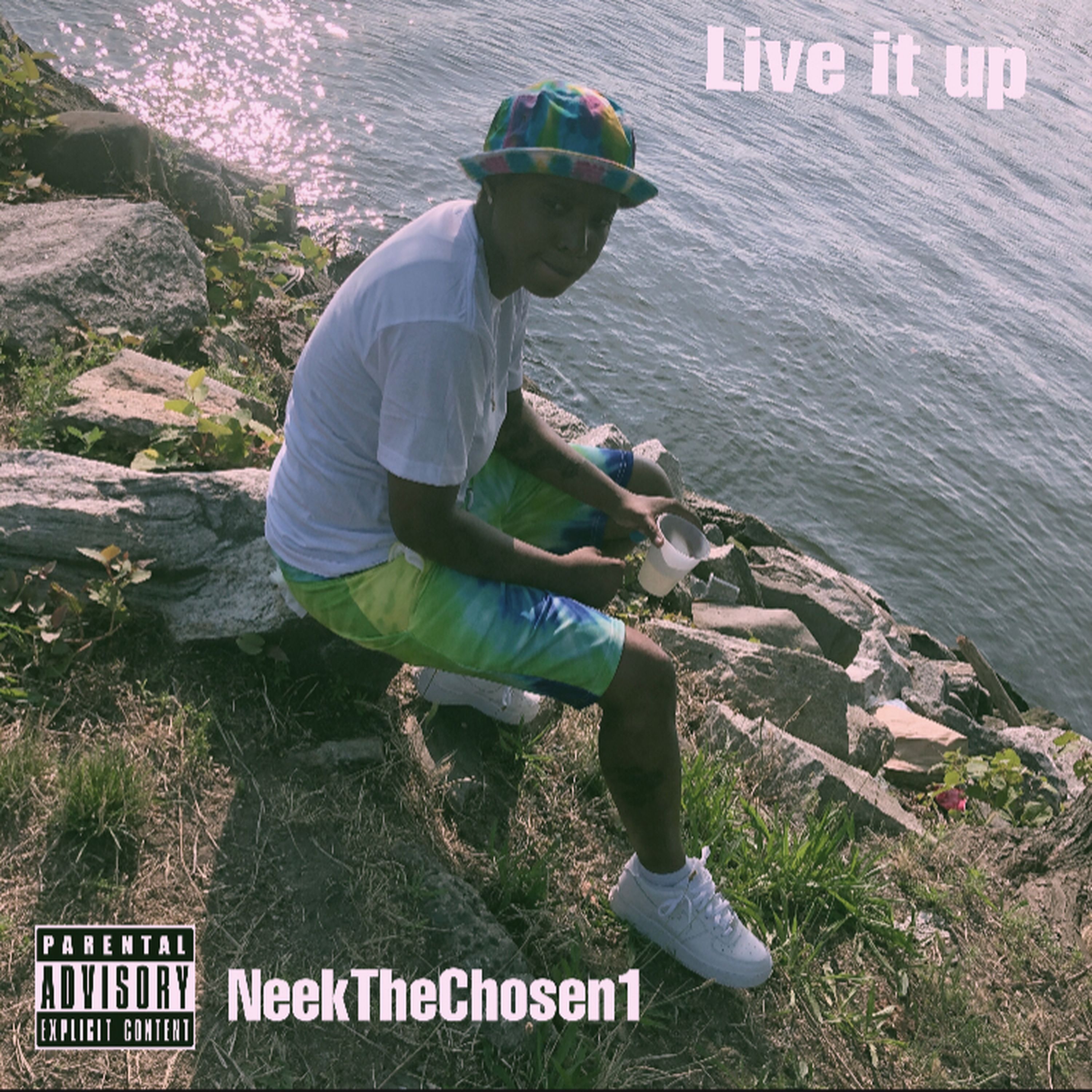 Live It Up artwork
