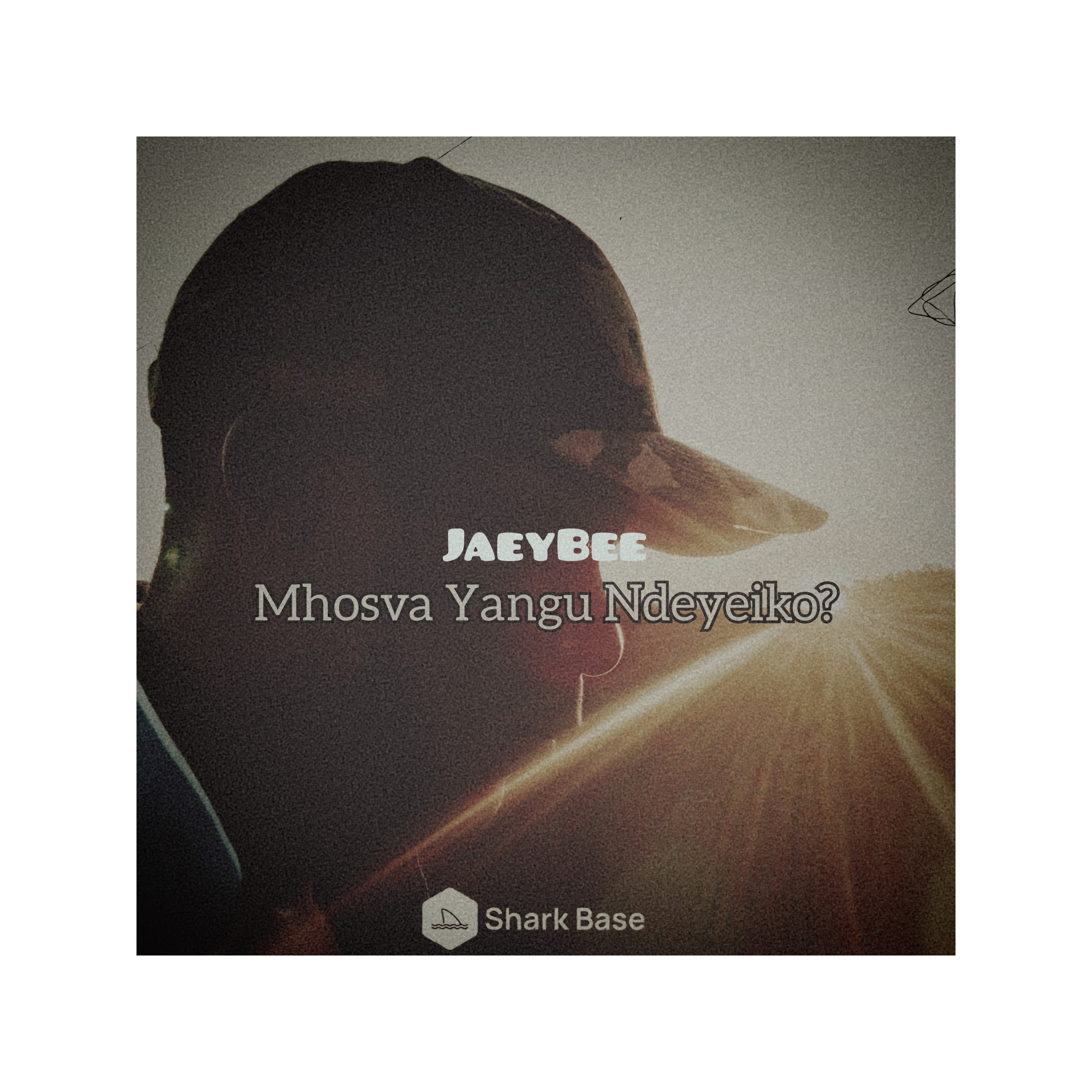 Mhosva Yangu Ndeyeiko? artwork