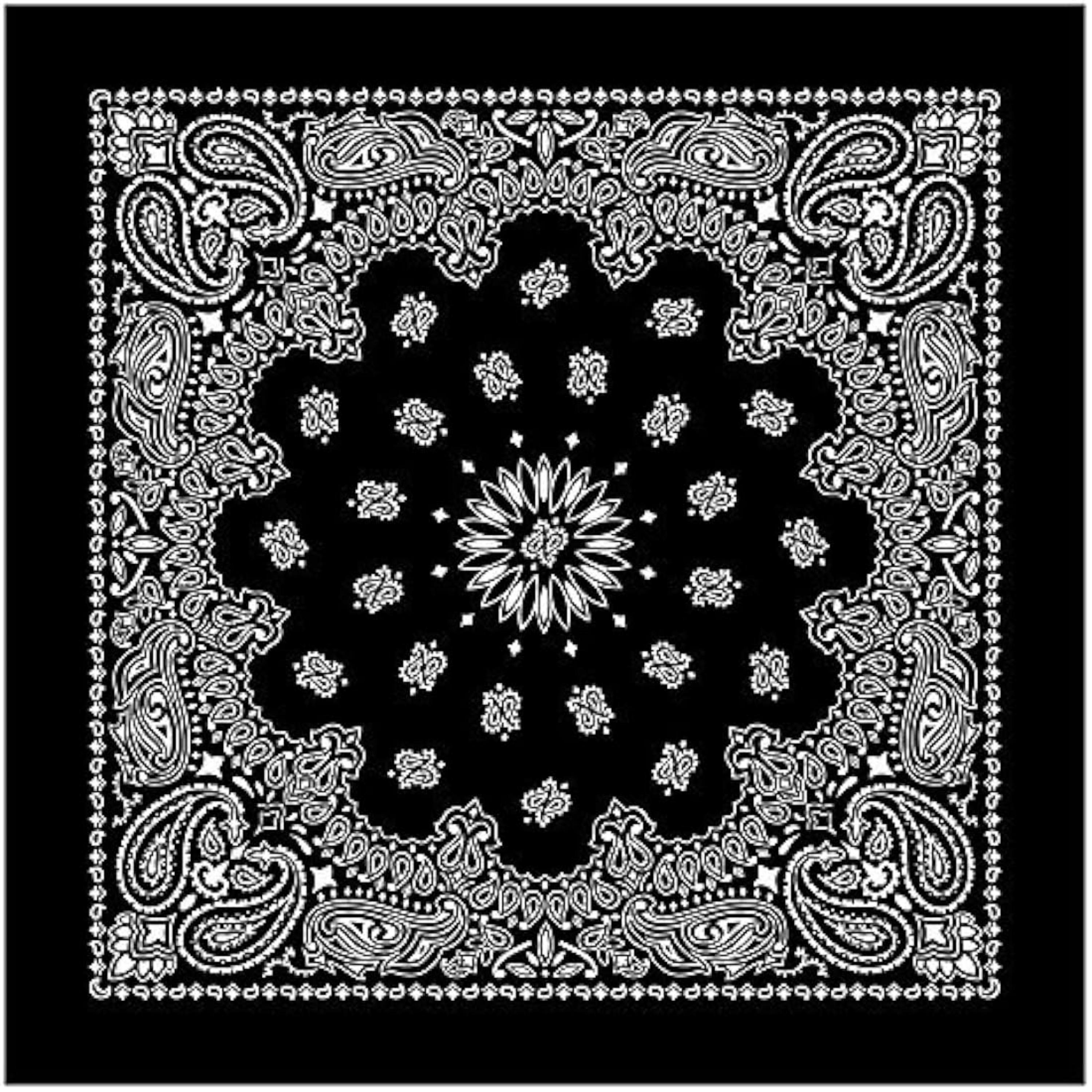 BLACK FLAG MUSIC PT.1 artwork