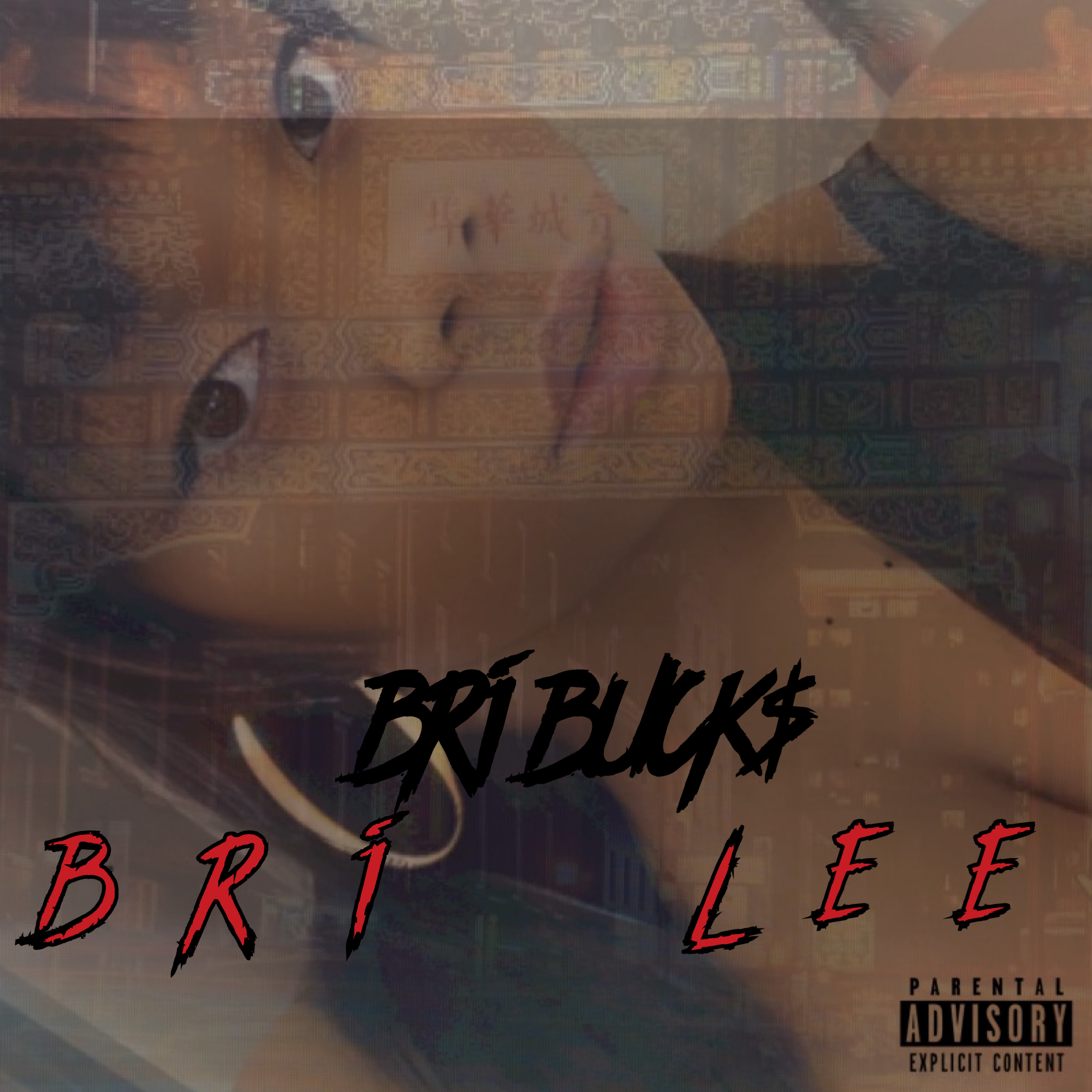 Bri Lee artwork