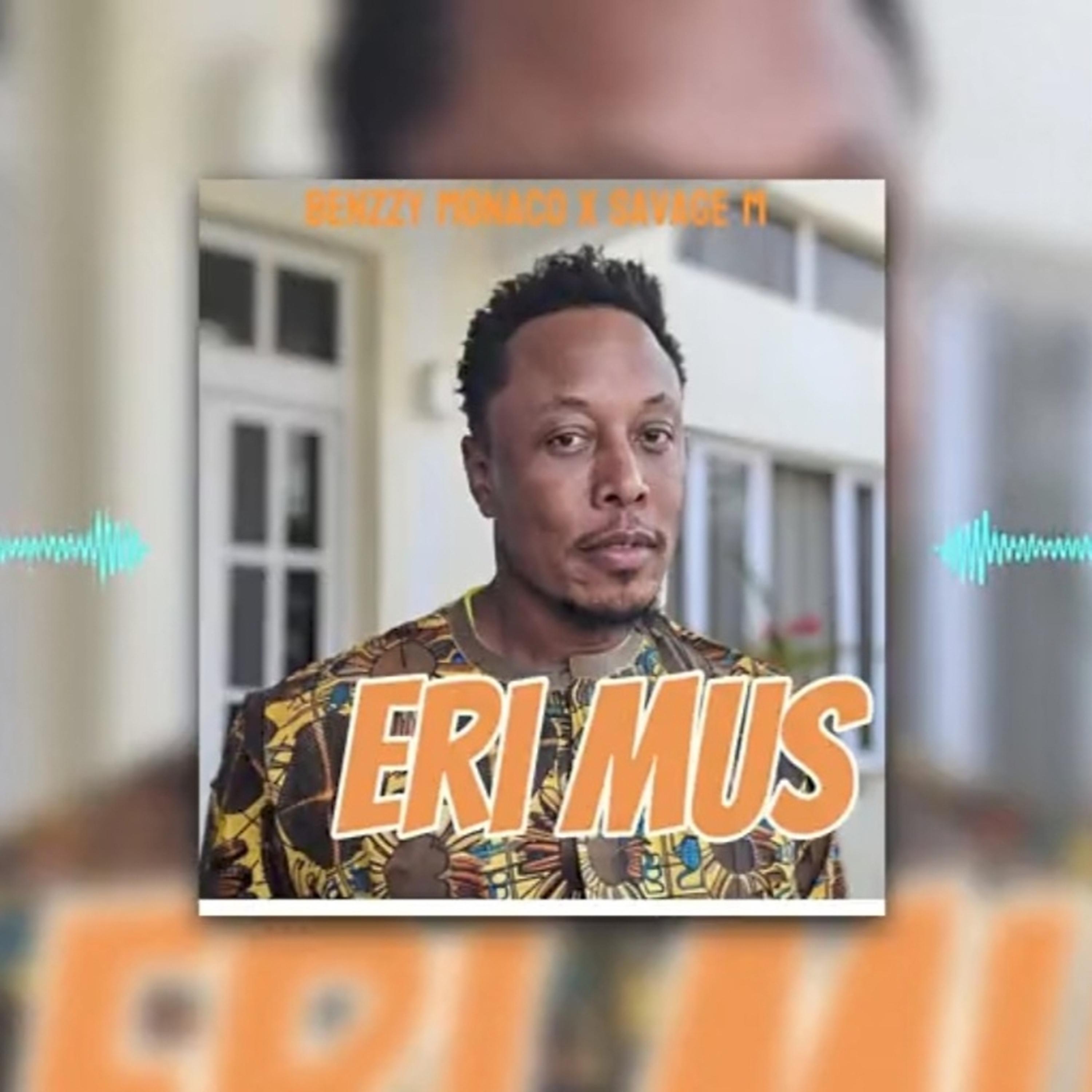 Eri Mus artwork