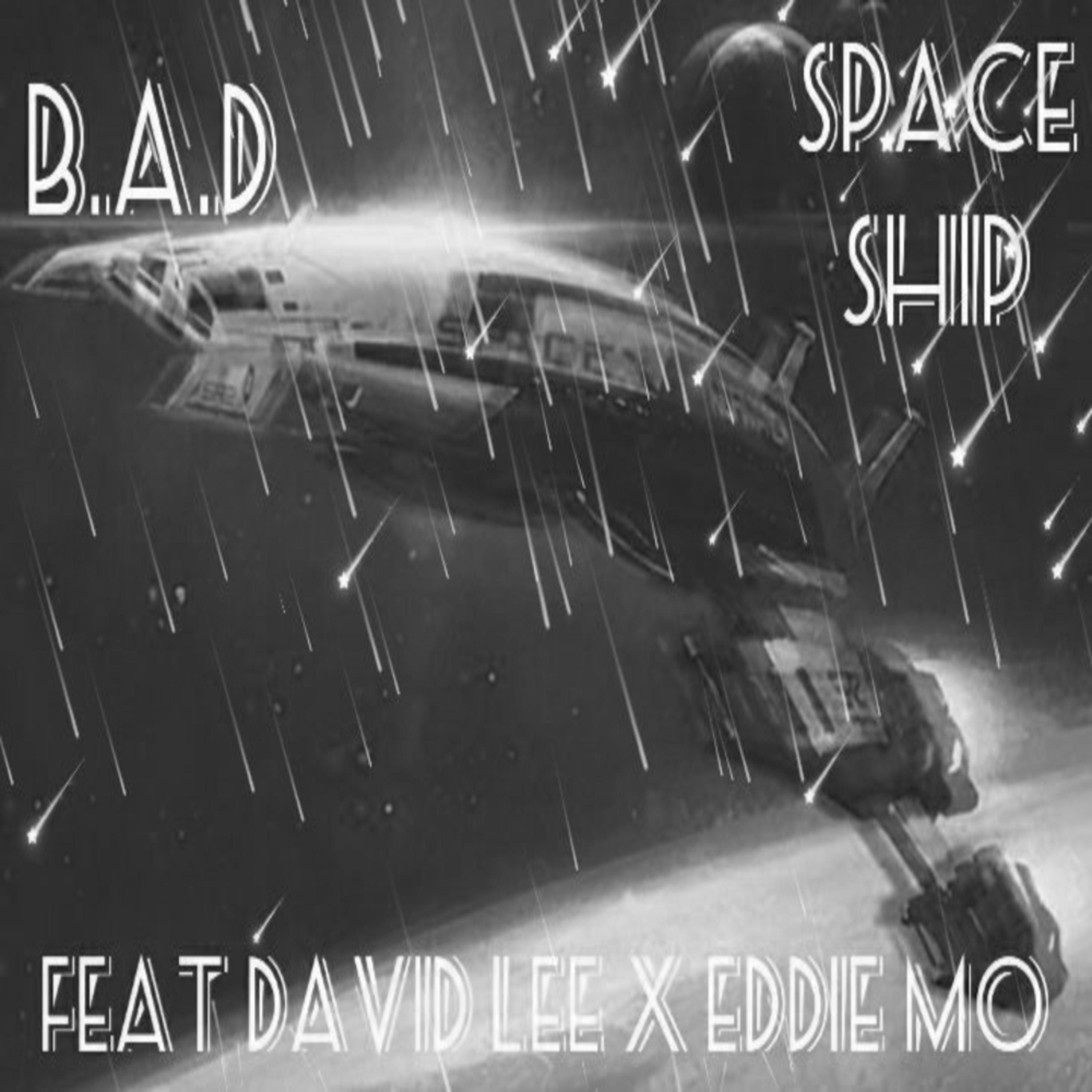 Space Ship artwork