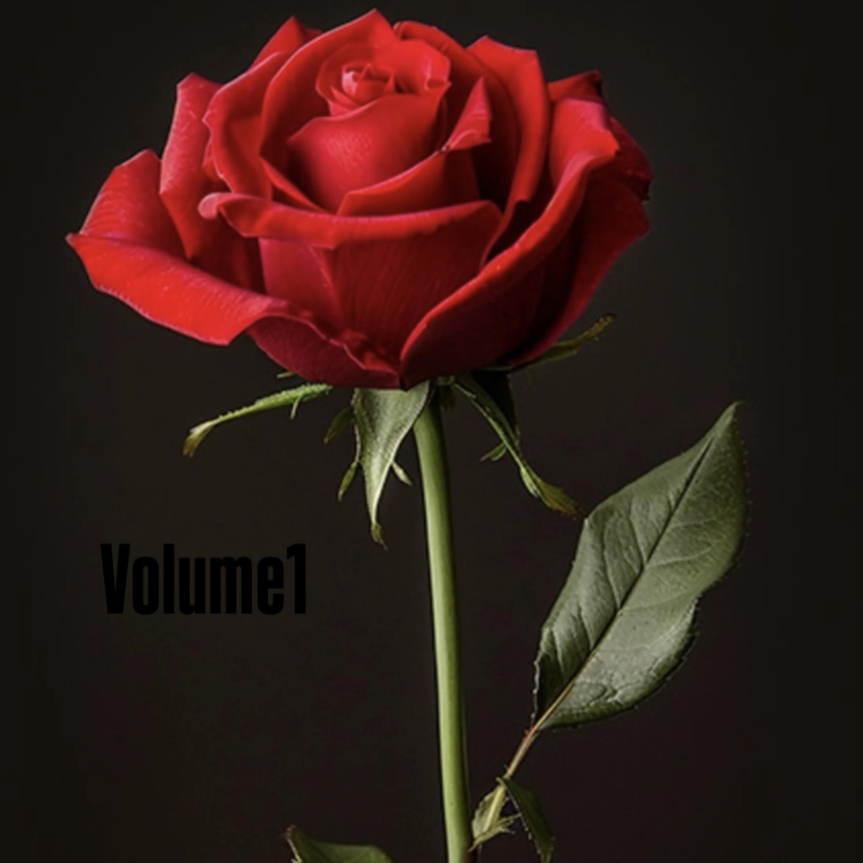 Volume1 by Sken cover art