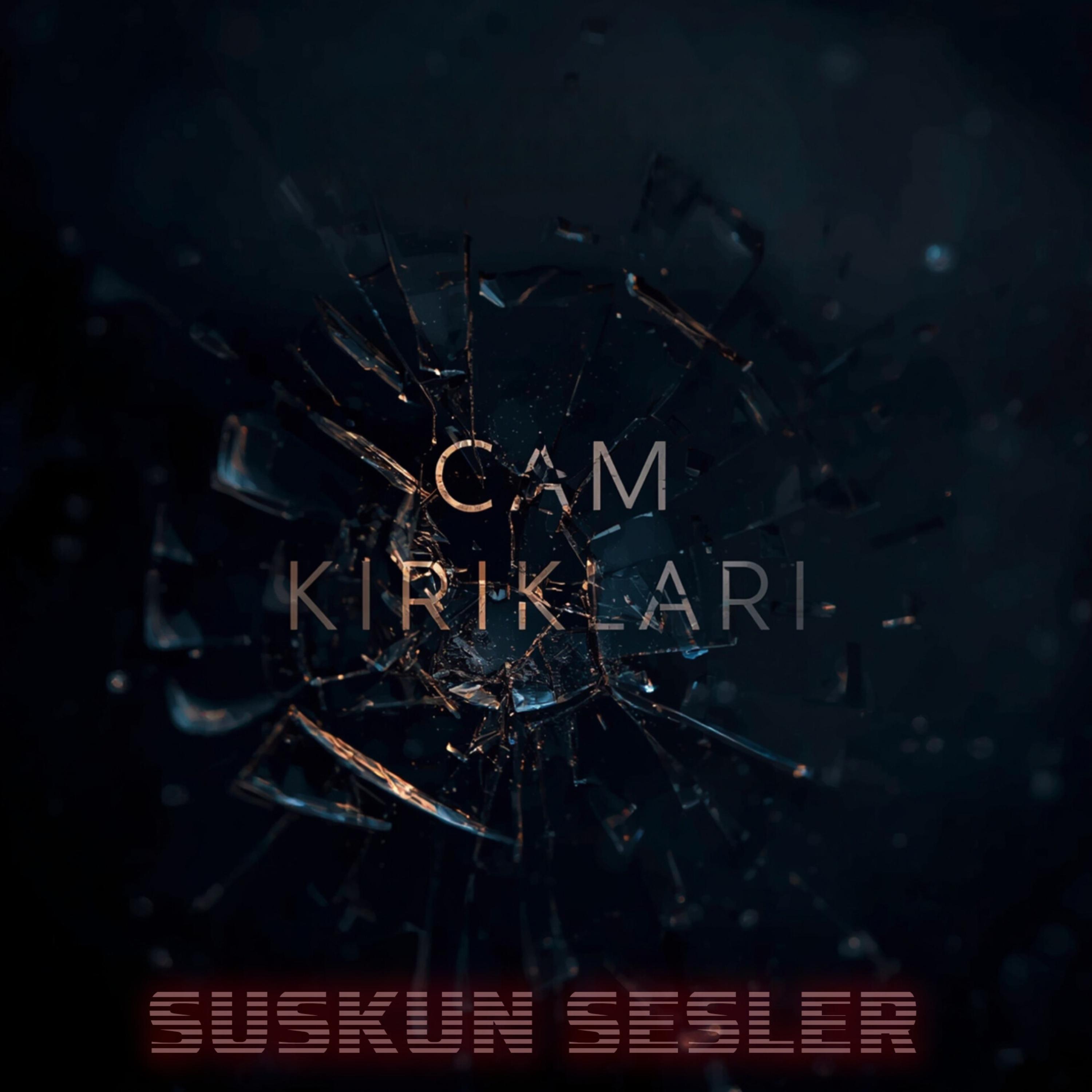 Cam Kırıkları by Suskun Sesler cover art